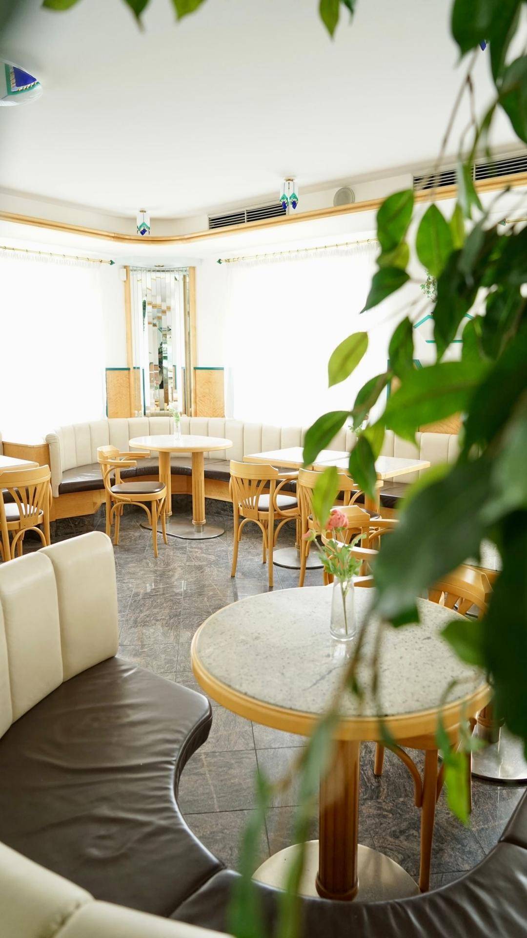Heller Café-Sitzbereich mit beigen Polsterbänken, Holztischen und einem Fenster, das viel Tageslicht hereinlässt.