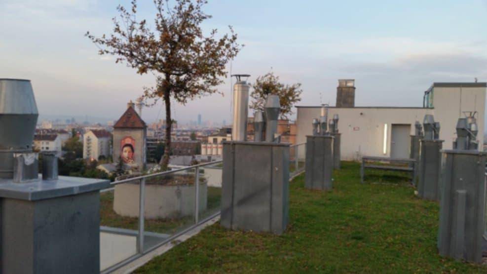 Dachterrasse mit Grünfläche, Bäumen und weitem Blick über die Stadt.