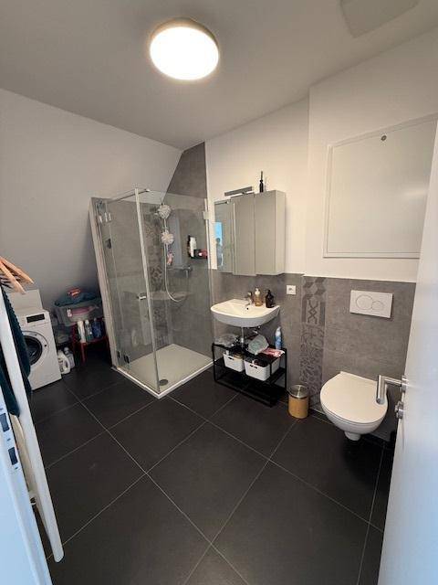 Modernes Badezimmer mit dunklen Fliesen, Duschkabine, Toilette und Spiegelschrank.