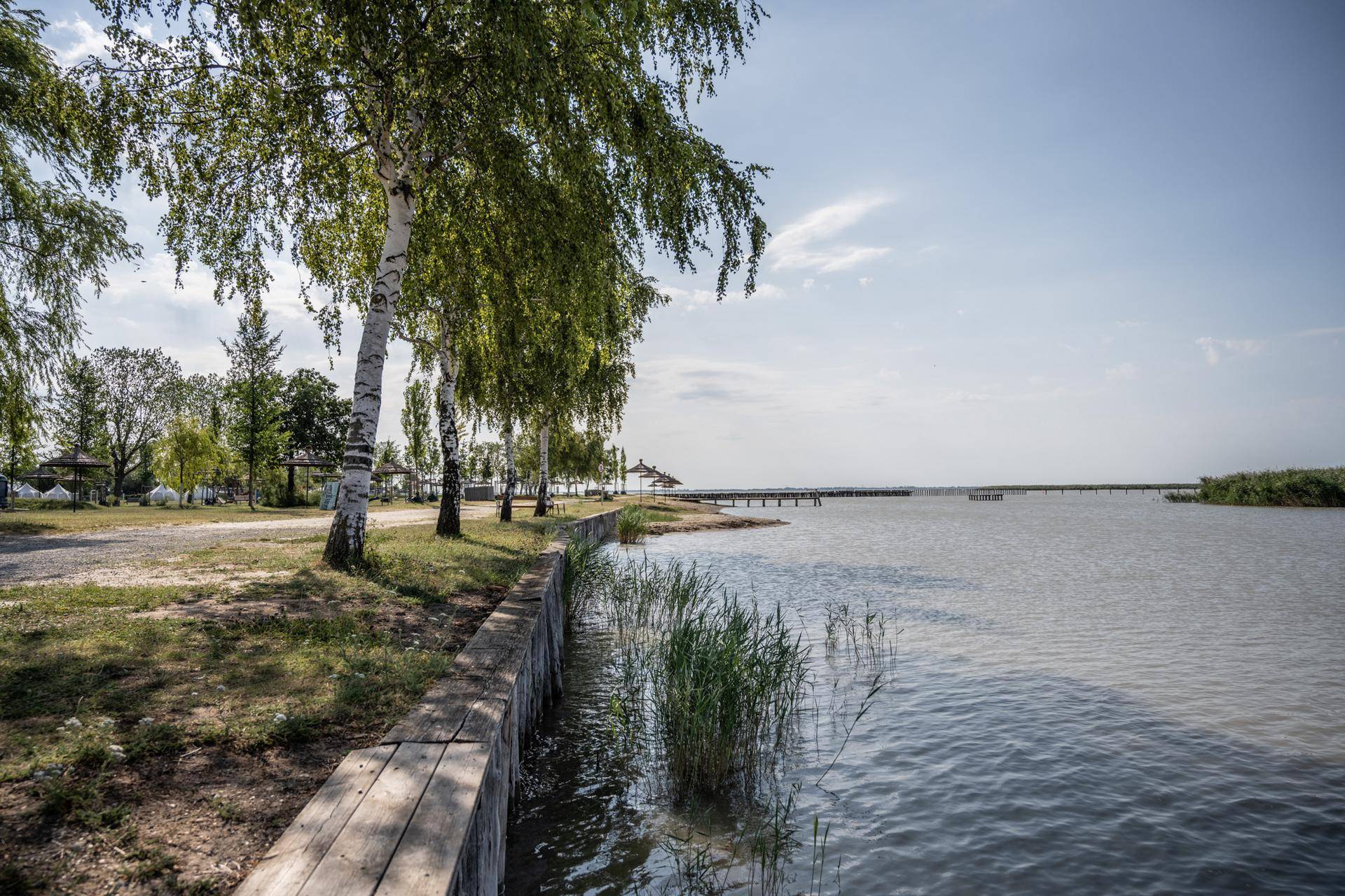 Uferbereich eines Sees mit Bäumen, Schilf und einem Holzsteg, der sich in die Ferne erstreckt.