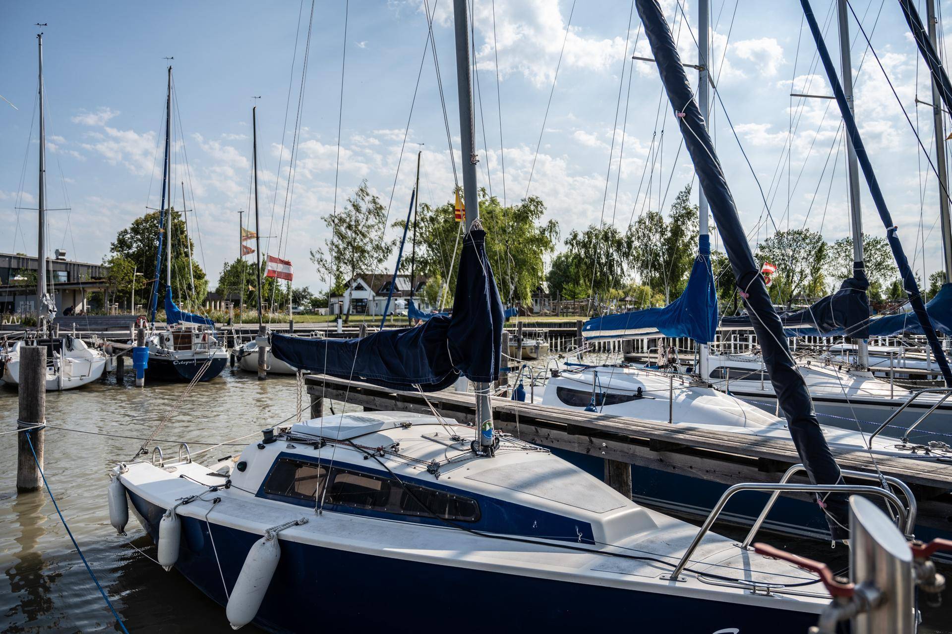 Mehrere Segelboote liegen friedlich an einem Steg im Hafen, umgeben von Bäumen und blauem Himmel.