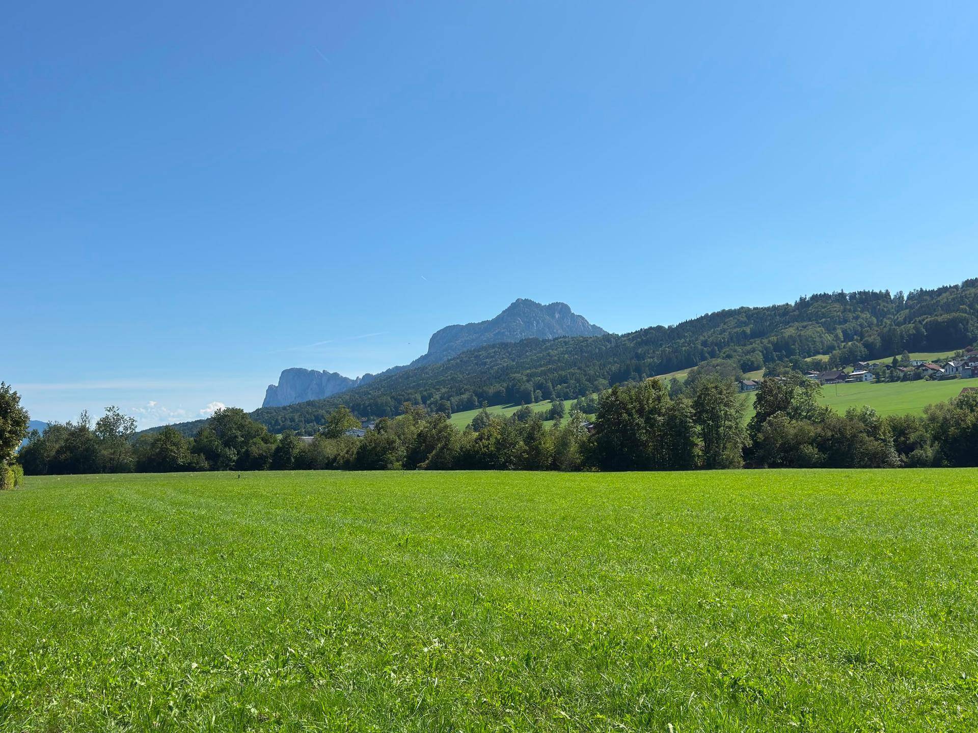 Weite grüne Wiesenlandschaft mit majestätischen Bergen im Hintergrund unter blauem Himmel.