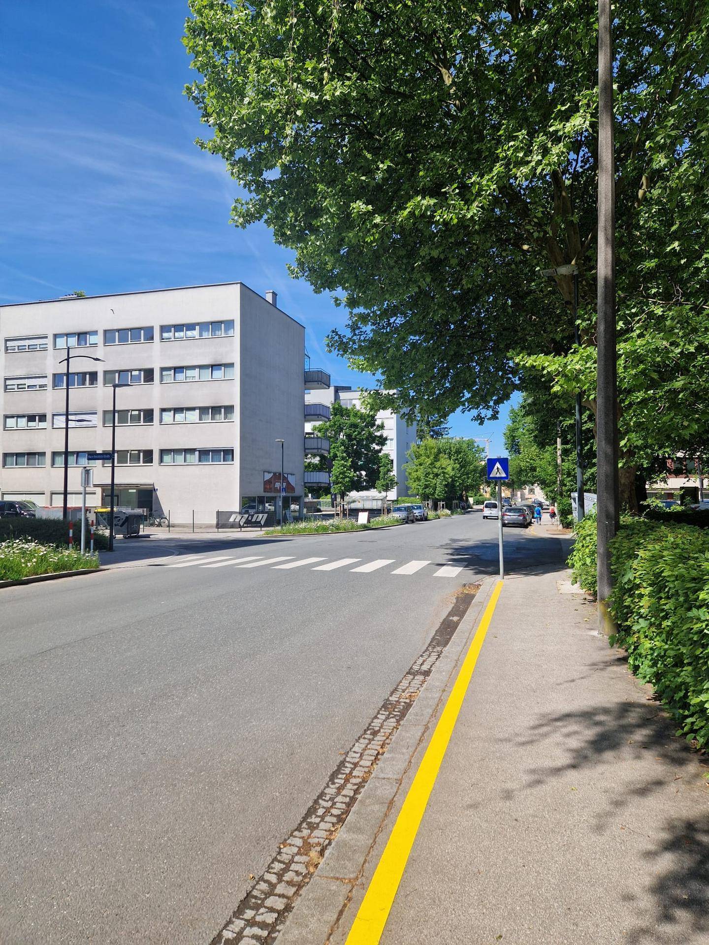 Blick auf eine ruhige Wohnstraße mit Bäumen und modernen Gebäuden.