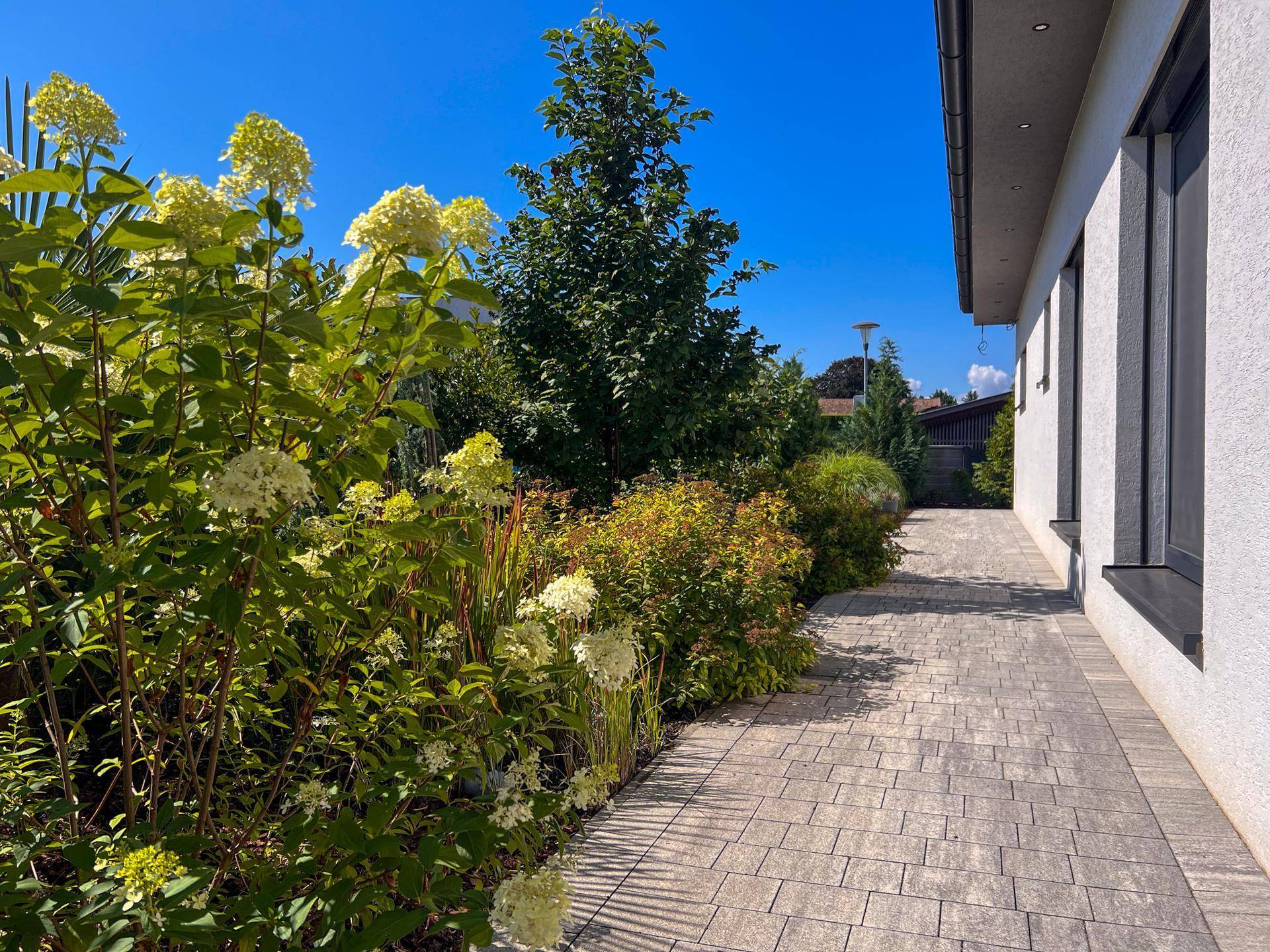 Gepflegter Gartenweg entlang des Hauses mit üppiger Bepflanzung und Blumen.