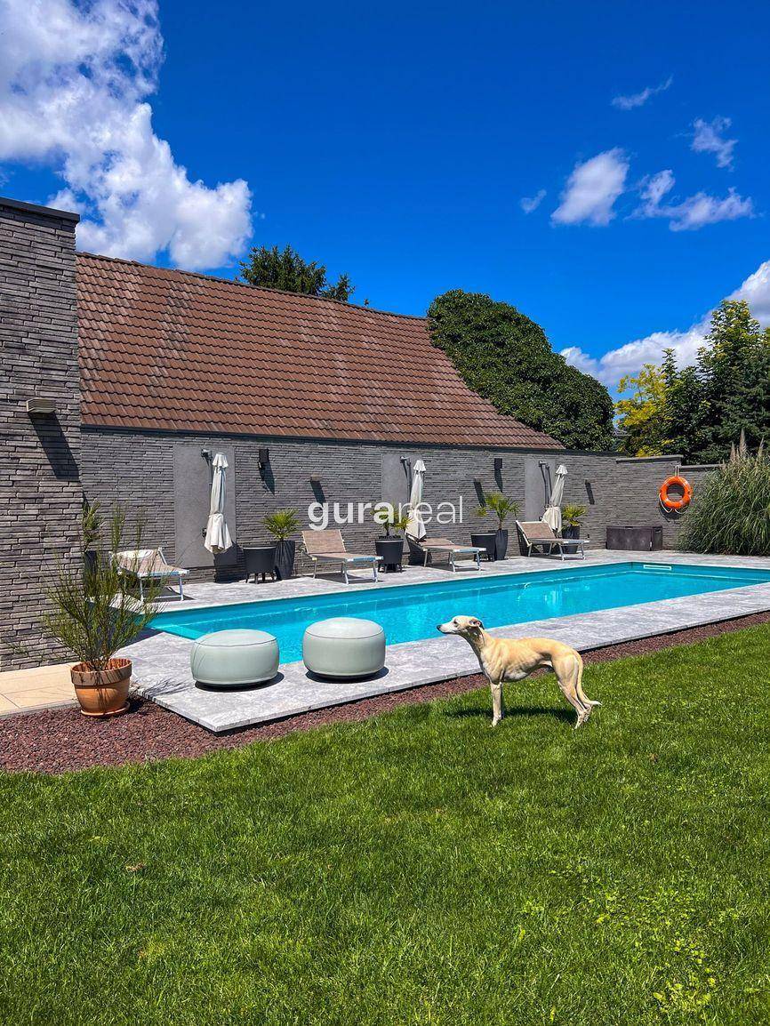 Gepflegter Gartenbereich mit Pool, Liegestühlen und Rasenfläche an einem sonnigen Tag.