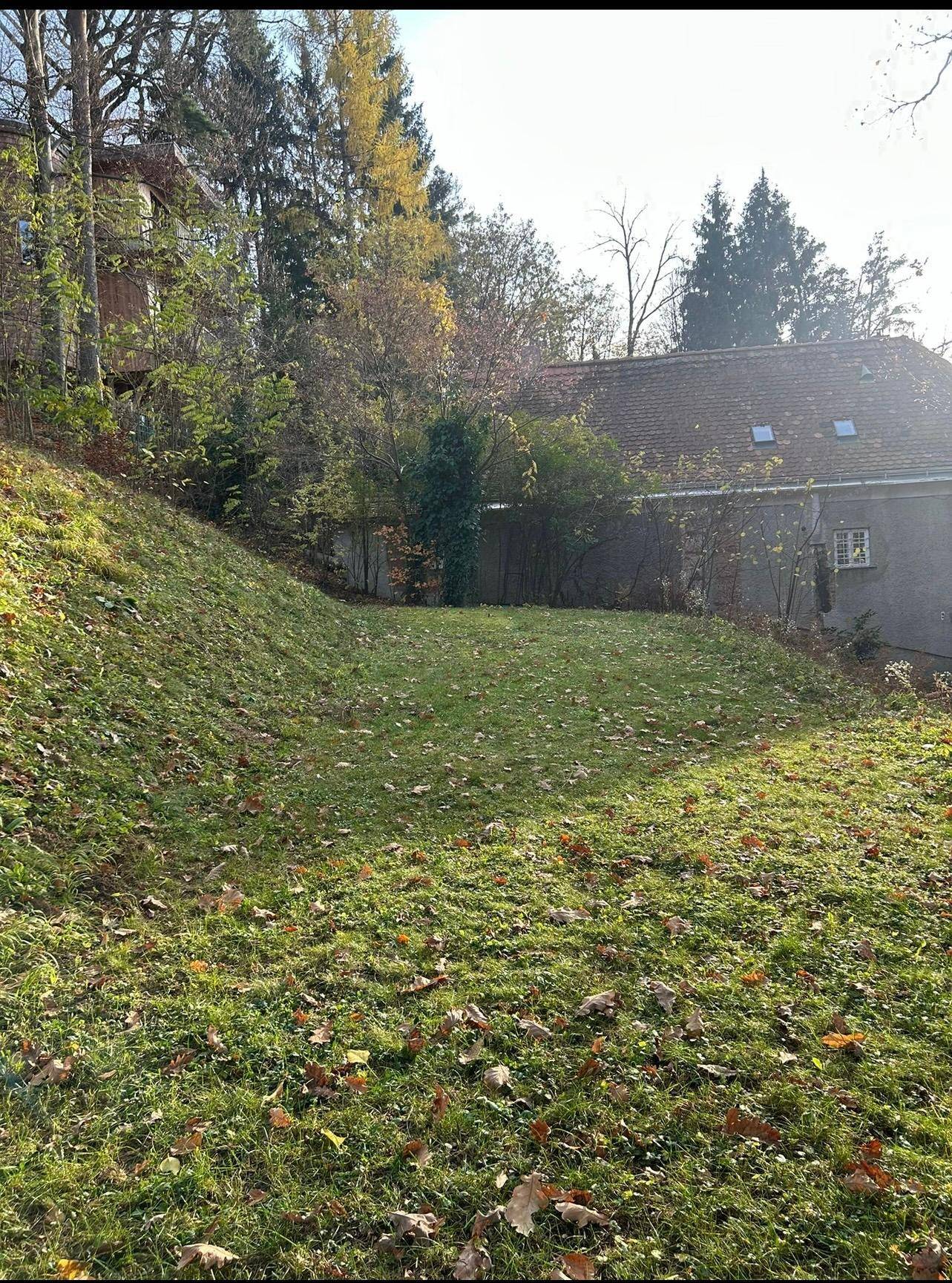 Hanglage des Gartens mit Rasenfläche und Blick auf das Haus im Hintergrund.