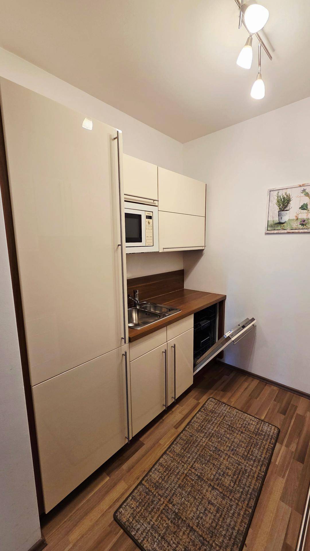 Kompakte Küchenzeile mit integriertem Kühlschrank, Mikrowelle und Geschirrspüler.
