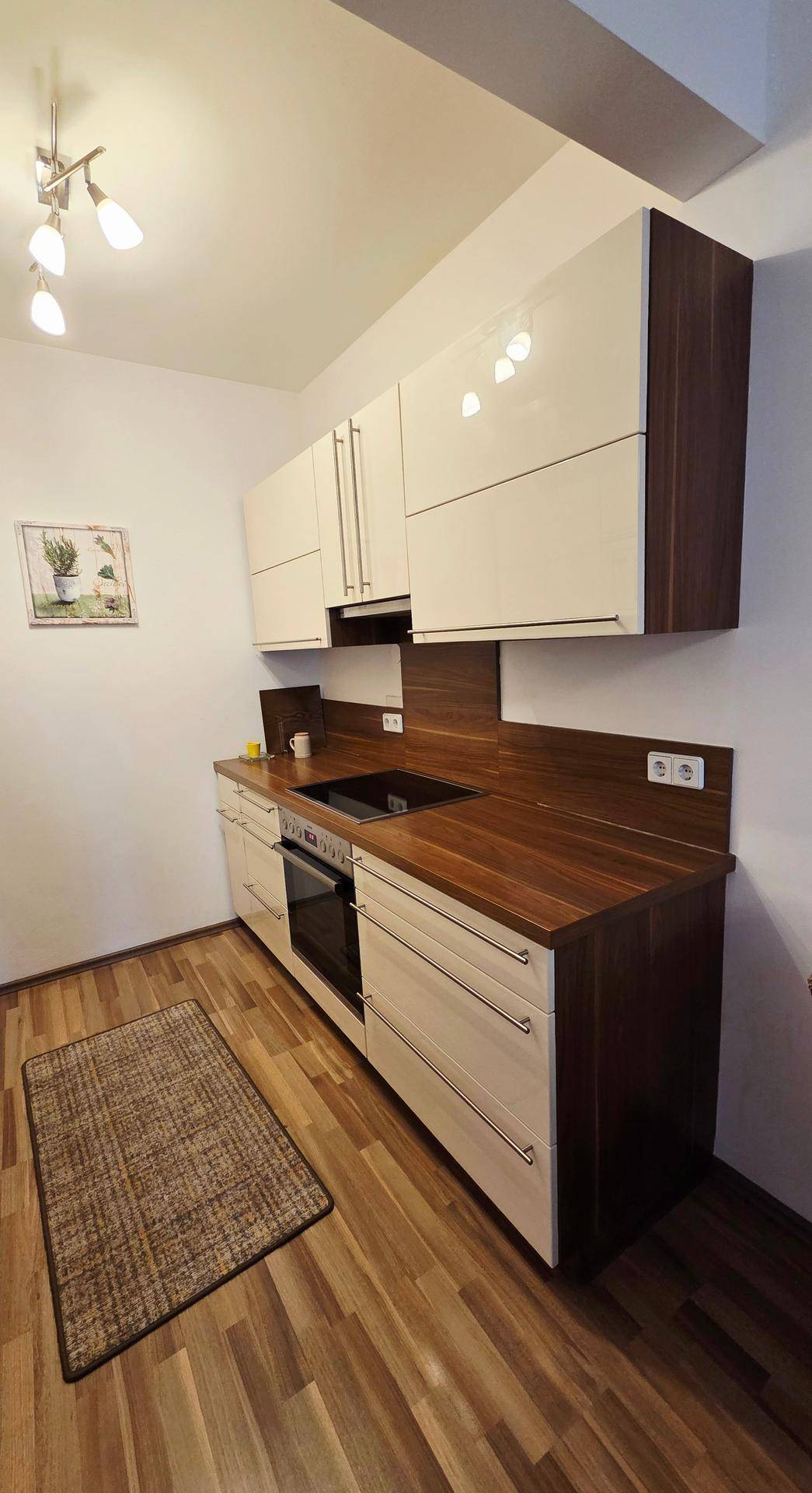 Moderne Küchenzeile mit Induktionskochfeld, Backofen und Holz-Arbeitsplatte.