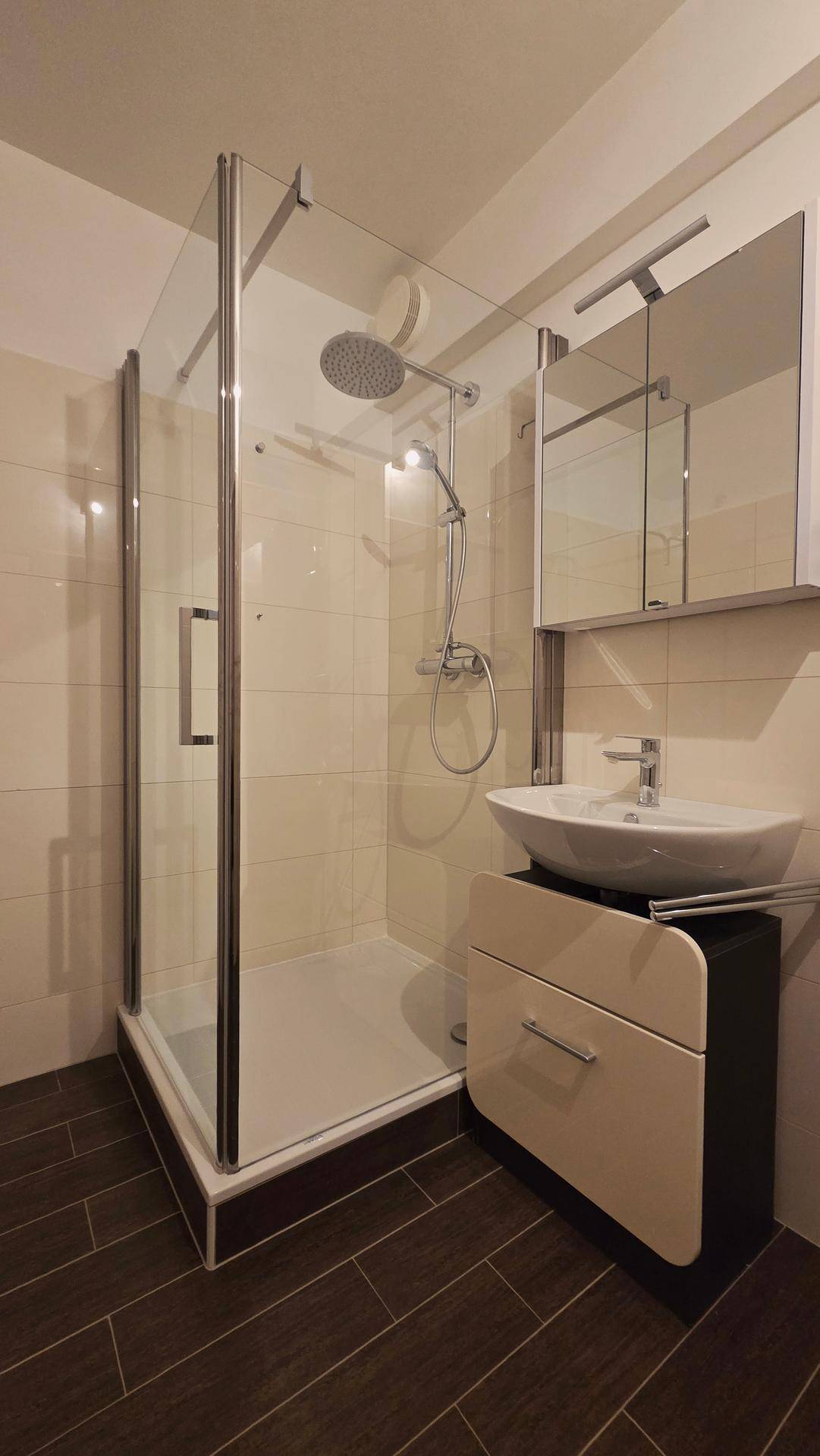 Badezimmer mit moderner Duschkabine, Waschbecken und Spiegelschrank.
