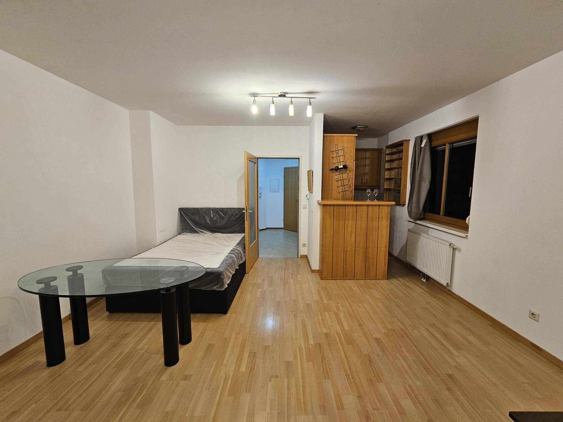 Kombinierter Wohn- und Schlafbereich mit Holzboden und einer praktischen Küchenzeile mit Bar.