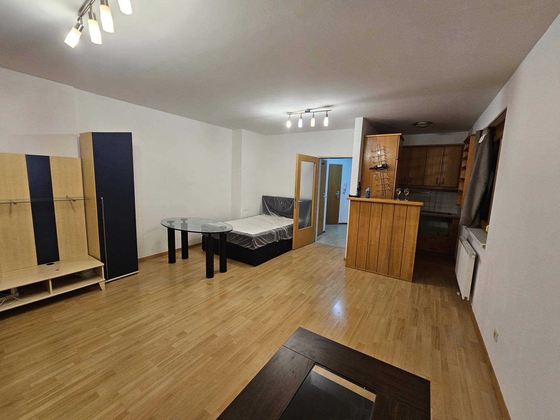 Offener Wohnbereich mit Holzboden, Schlafgelegenheit und integrierter Küchenzeile mit Bar.