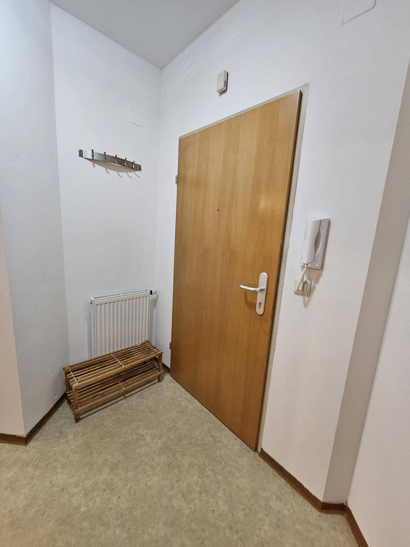 Flur mit Eingangstür, Heizkörper und einem kleinen Schuhregal für Ordnung.