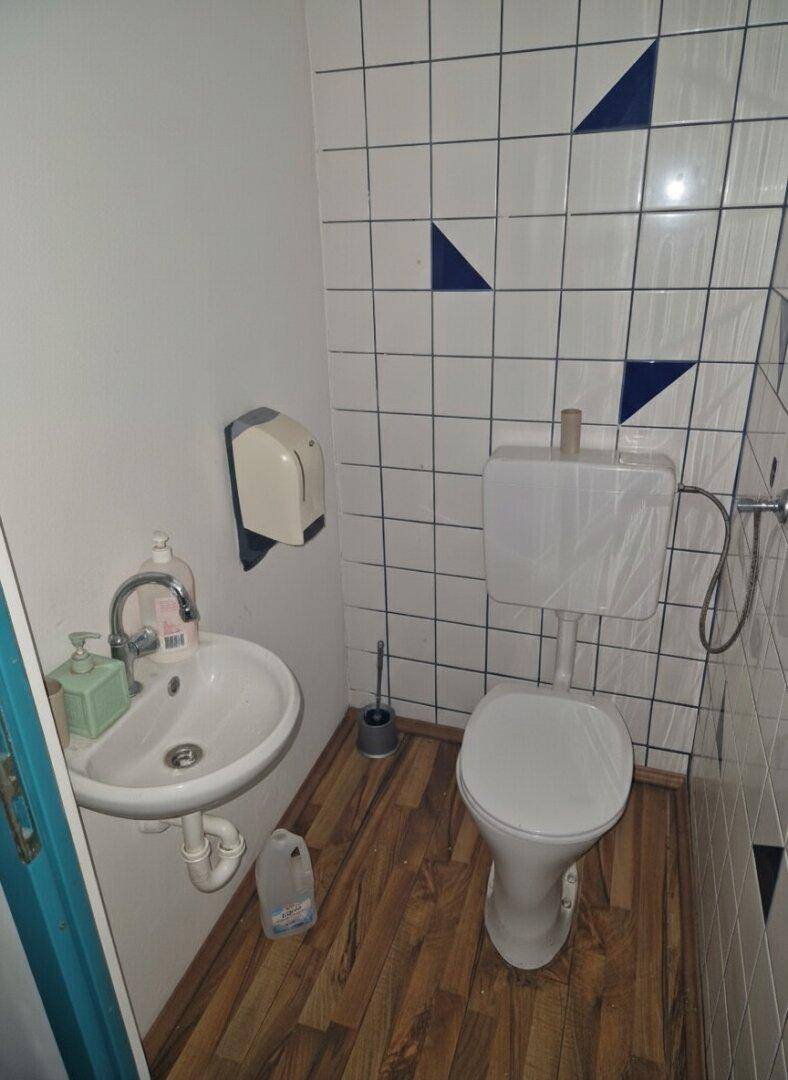Kleine Toilette mit Waschbecken, WC und blau-weiß gemusterten Fliesen an der Wand.
