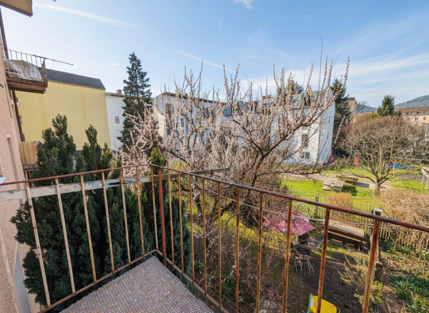 Blick vom Balkon auf den grünen Innenhof mit blühenden Bäumen.