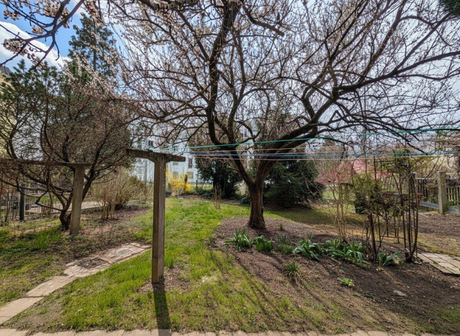 Grüner Gartenbereich mit Bäumen, Rasenflächen und Wegen, ideal zum Entspannen im Freien.