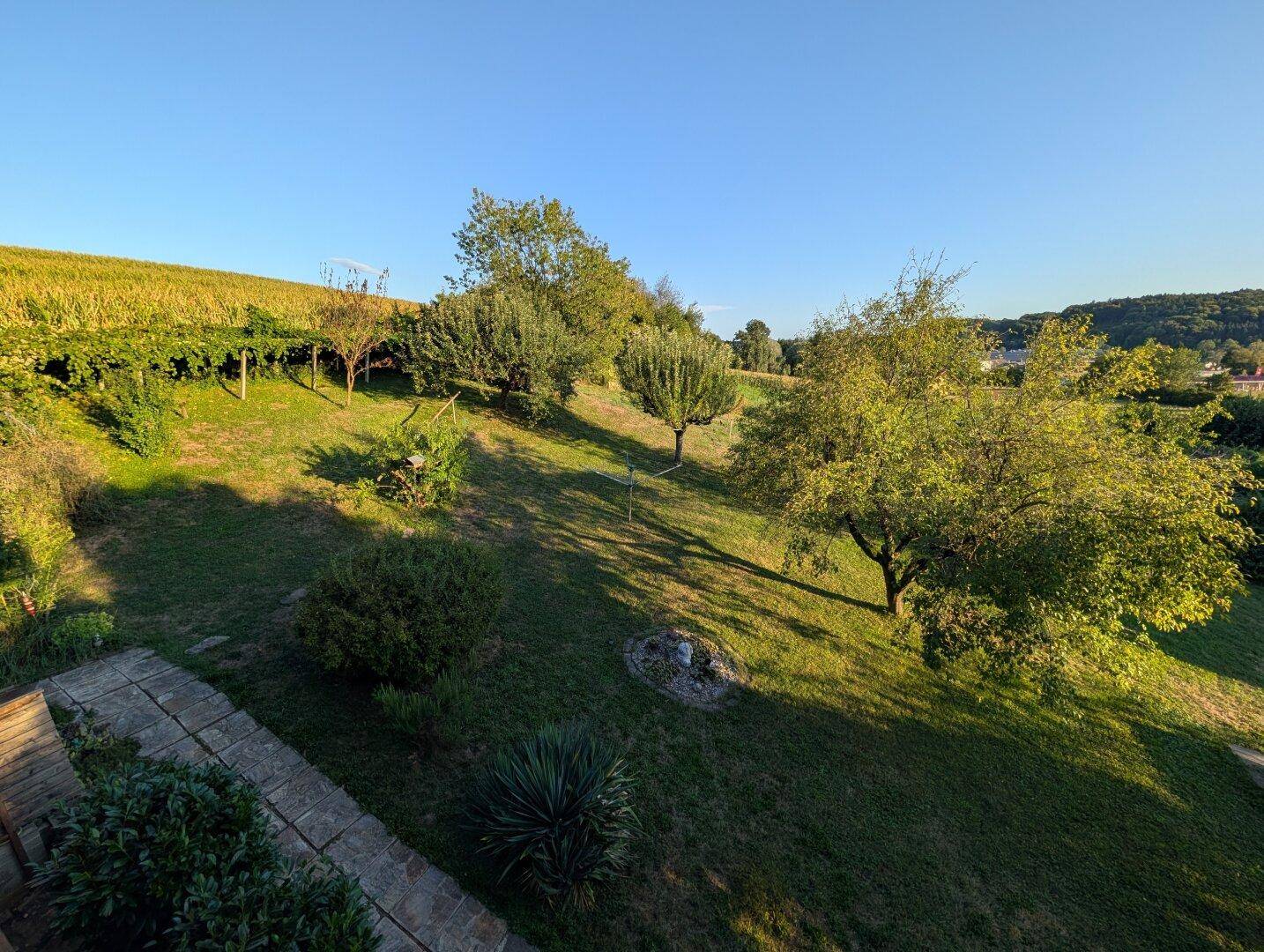 Malerischer Garten mit Obstbäumen und Blick auf die umliegende grüne Landschaft.