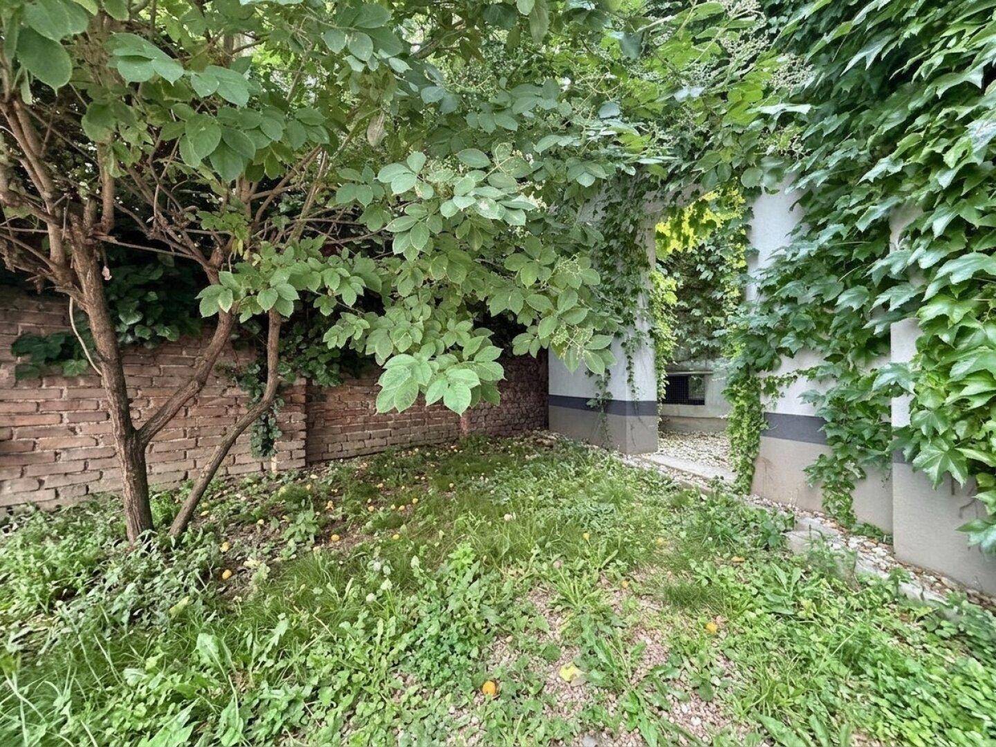 Naturbelassener Außenbereich mit Gras, einem Baum und einer mit Efeu bewachsenen Ziegelmauer.