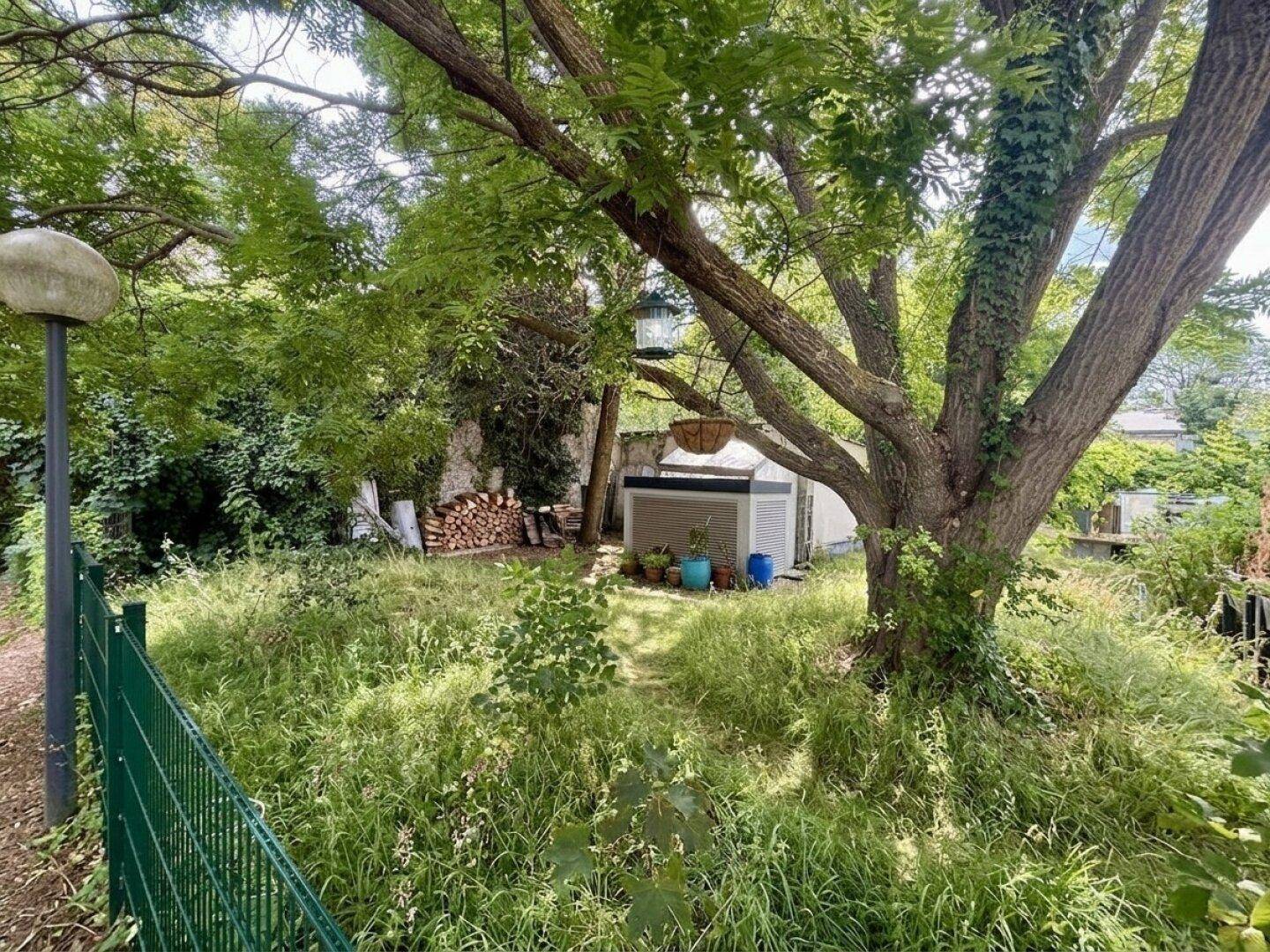 Naturbelassener Gartenbereich mit hohem Gras, altem Baum und Holzstapel im Hintergrund.