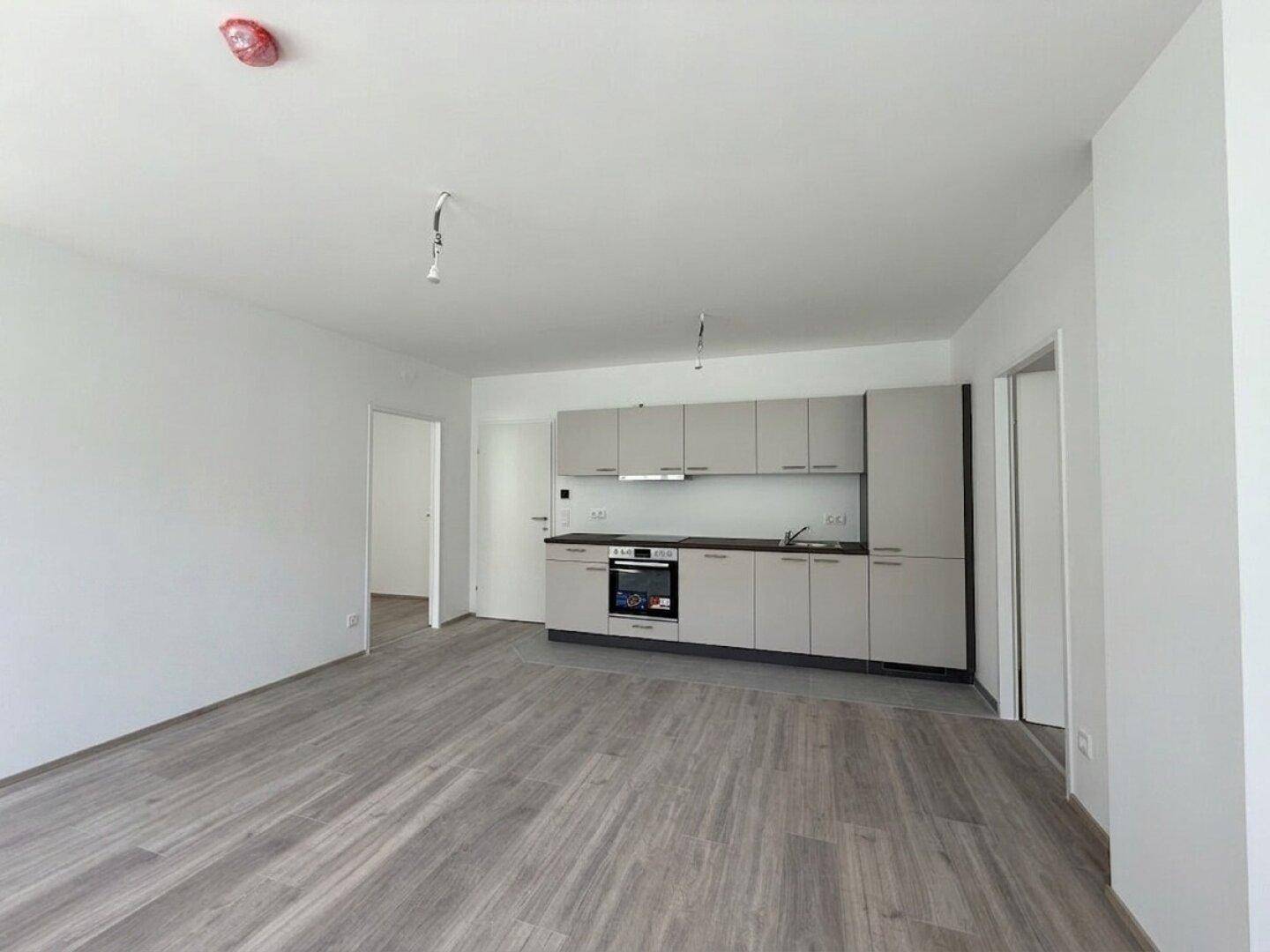 Offener Wohnbereich mit integrierter Küchenzeile und hellem Laminatboden in einem modernen Neubau.