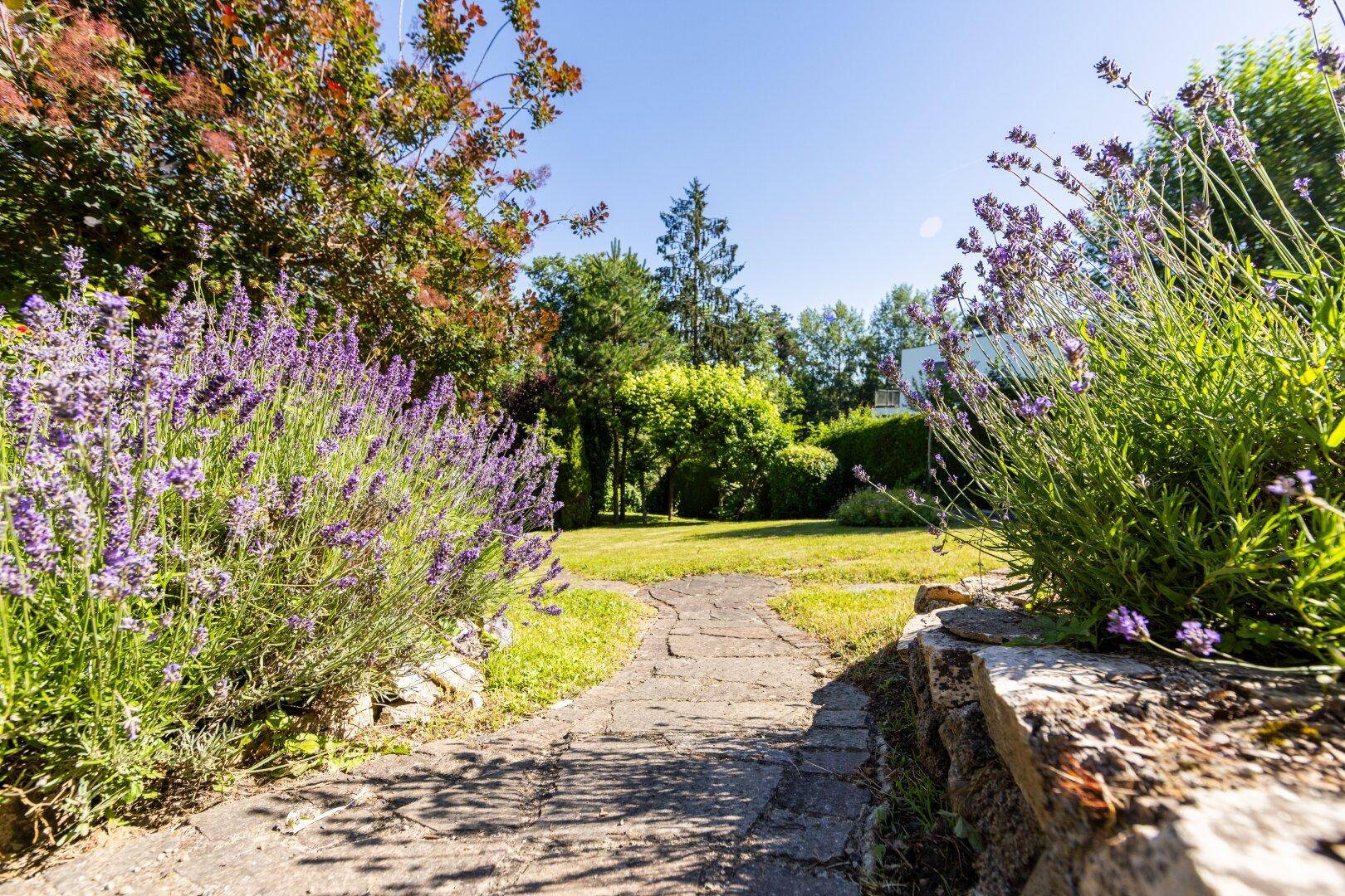 Idyllischer Gartenweg mit blühendem Lavendel und weitem Blick ins Grüne.