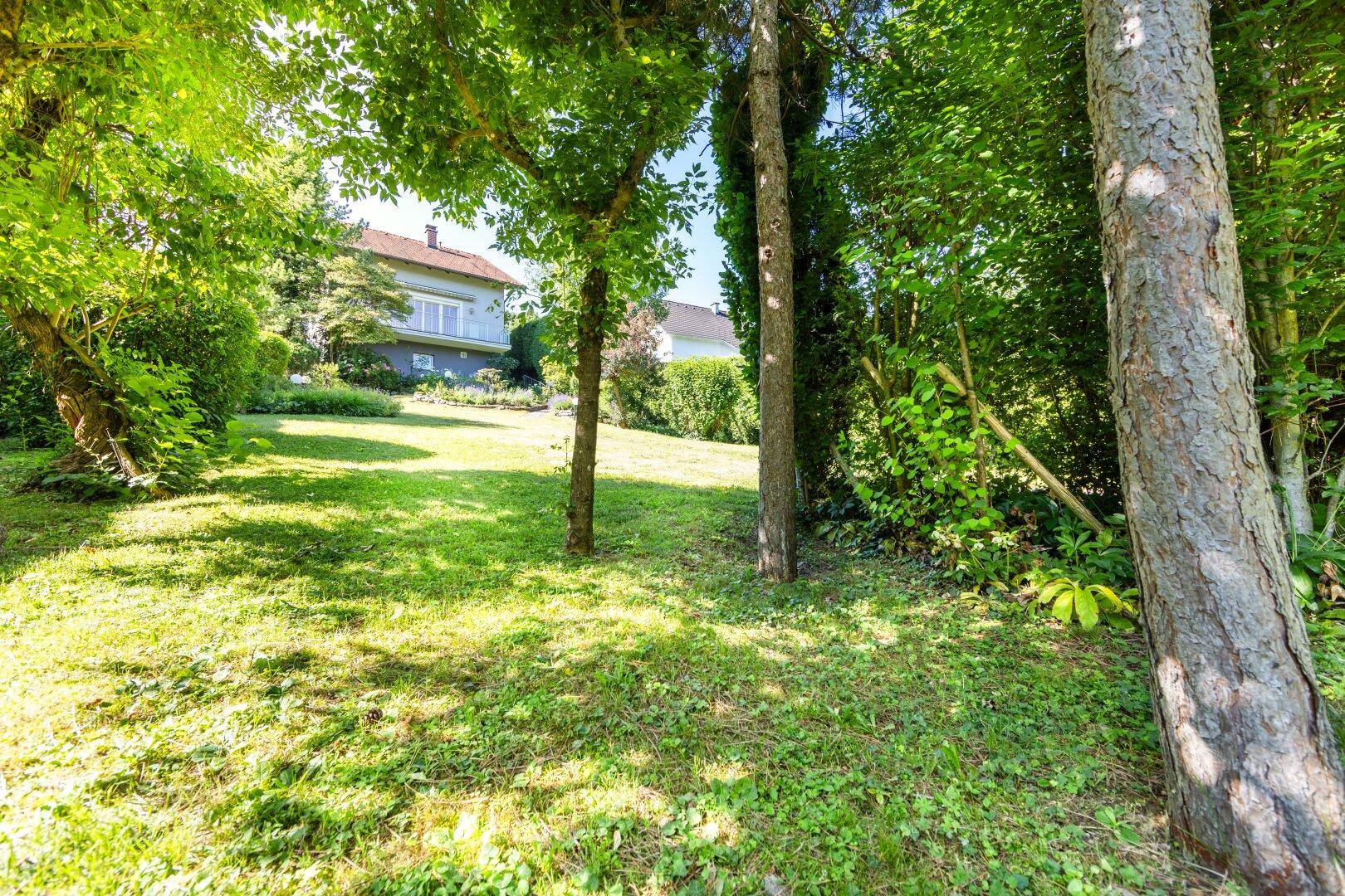 Naturbelassener Gartenbereich mit hohen Bäumen und viel Grün, ideal zum Entspannen.