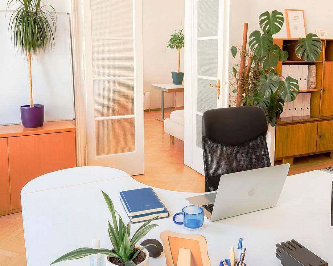 Arbeitsplatz mit Laptop und Pflanze, Blick durch offene Türen in einen weiteren hellen Raum mit Holzschränken.