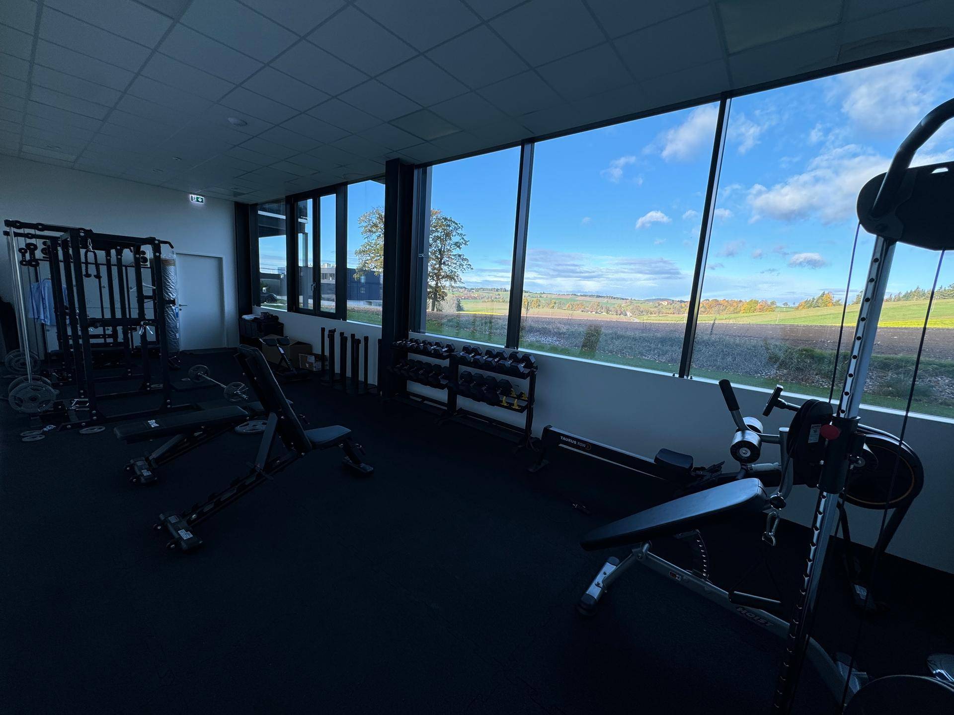 Fitnessbereich mit Trainingsgeräten und weitem Blick auf die Landschaft.