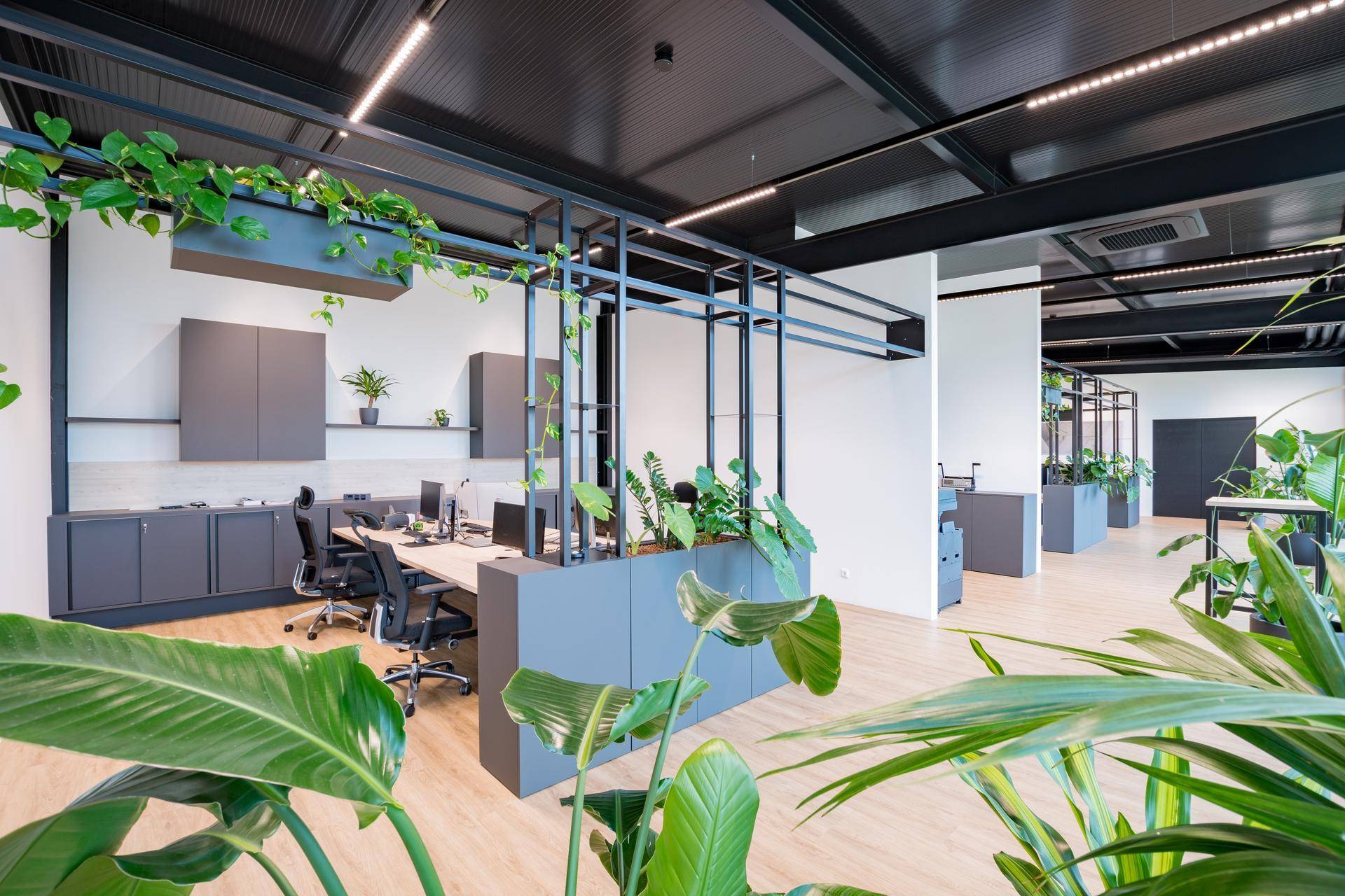 Geräumiger Bürobereich mit Pflanzen, modernen Arbeitsplätzen und dunkler Decke.