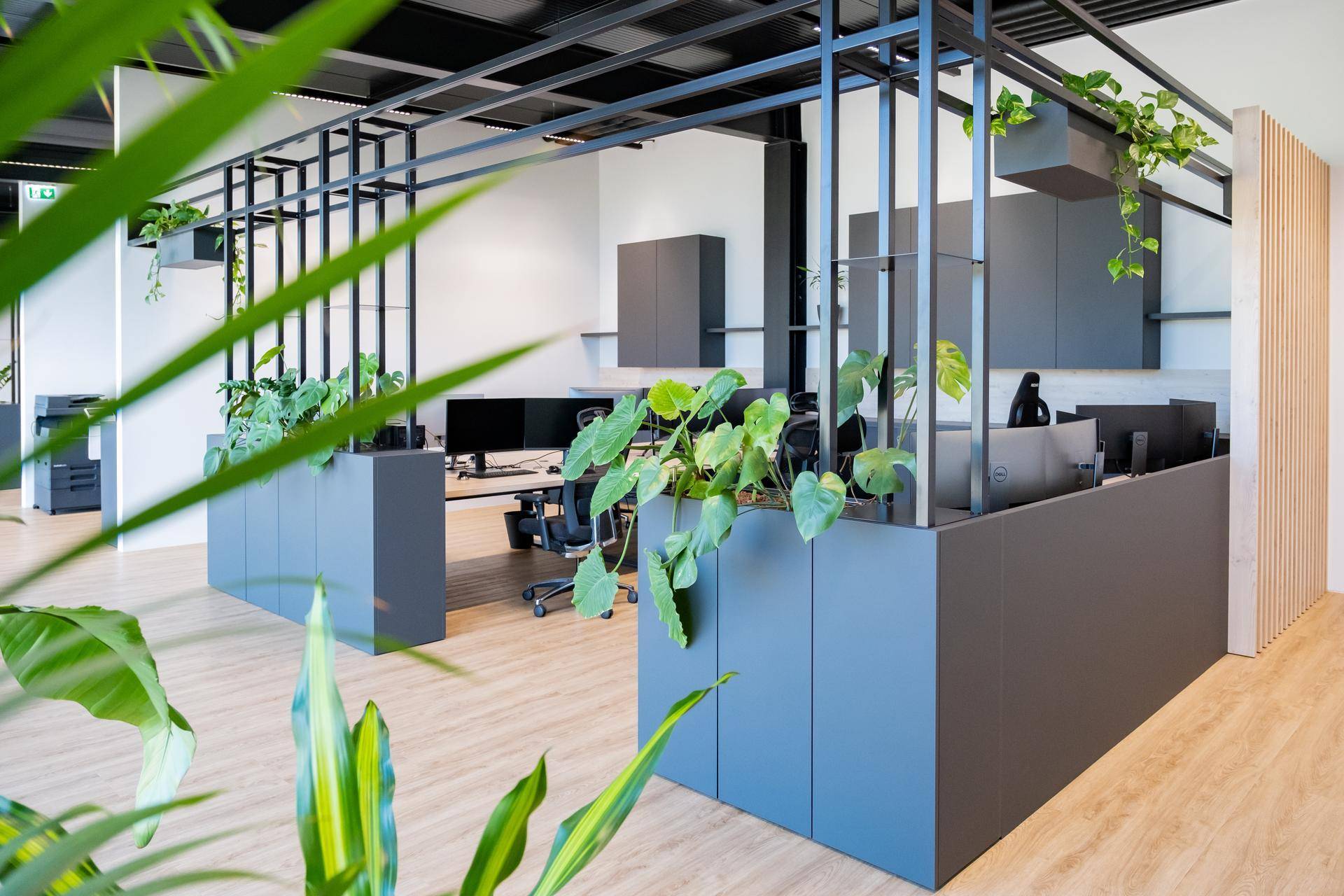 Offener Bürobereich mit modernen Arbeitsplätzen, Pflanzen und Holzboden.