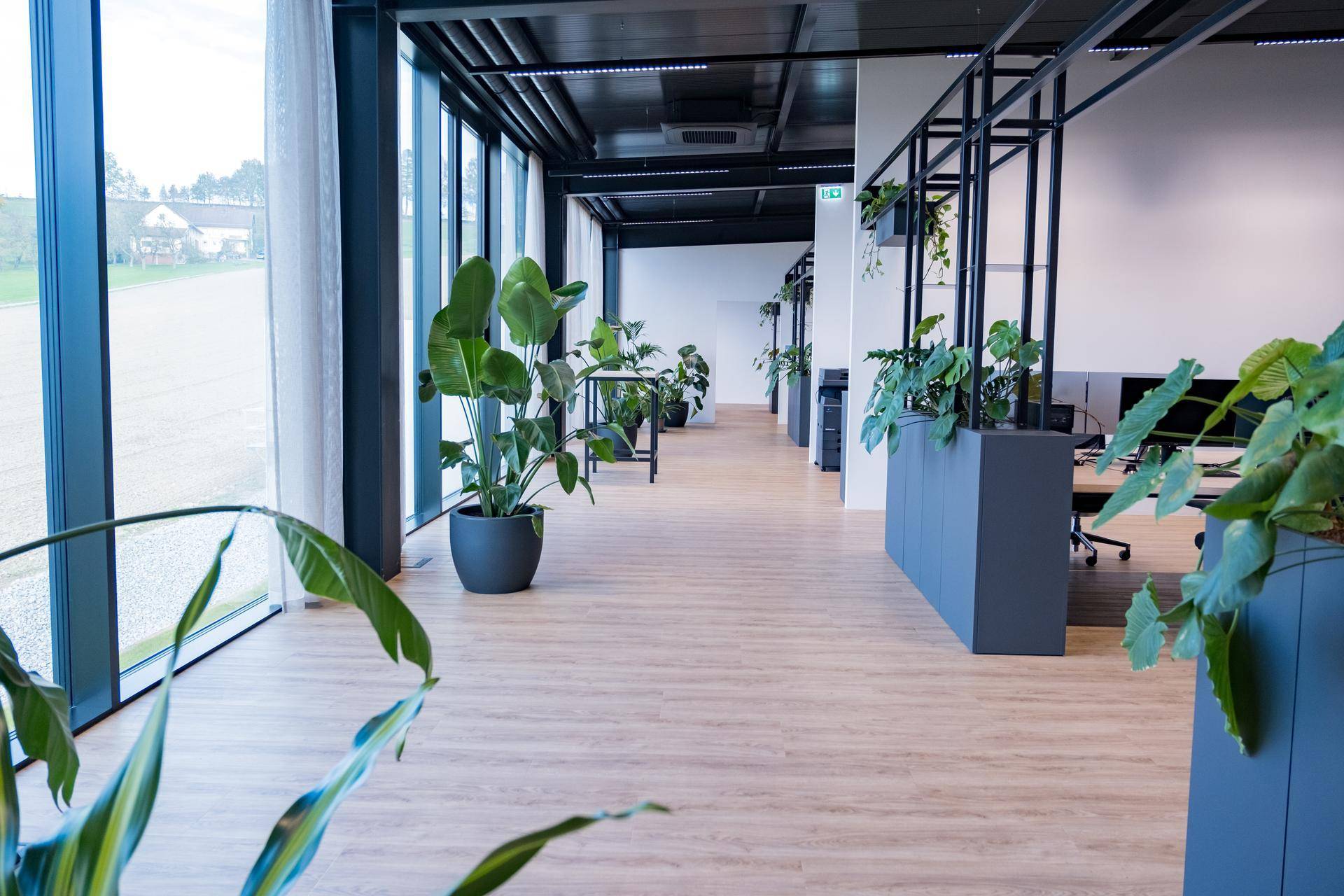 Langer Flur im Bürogebäude mit großen Fenstern und Blick ins Grüne.