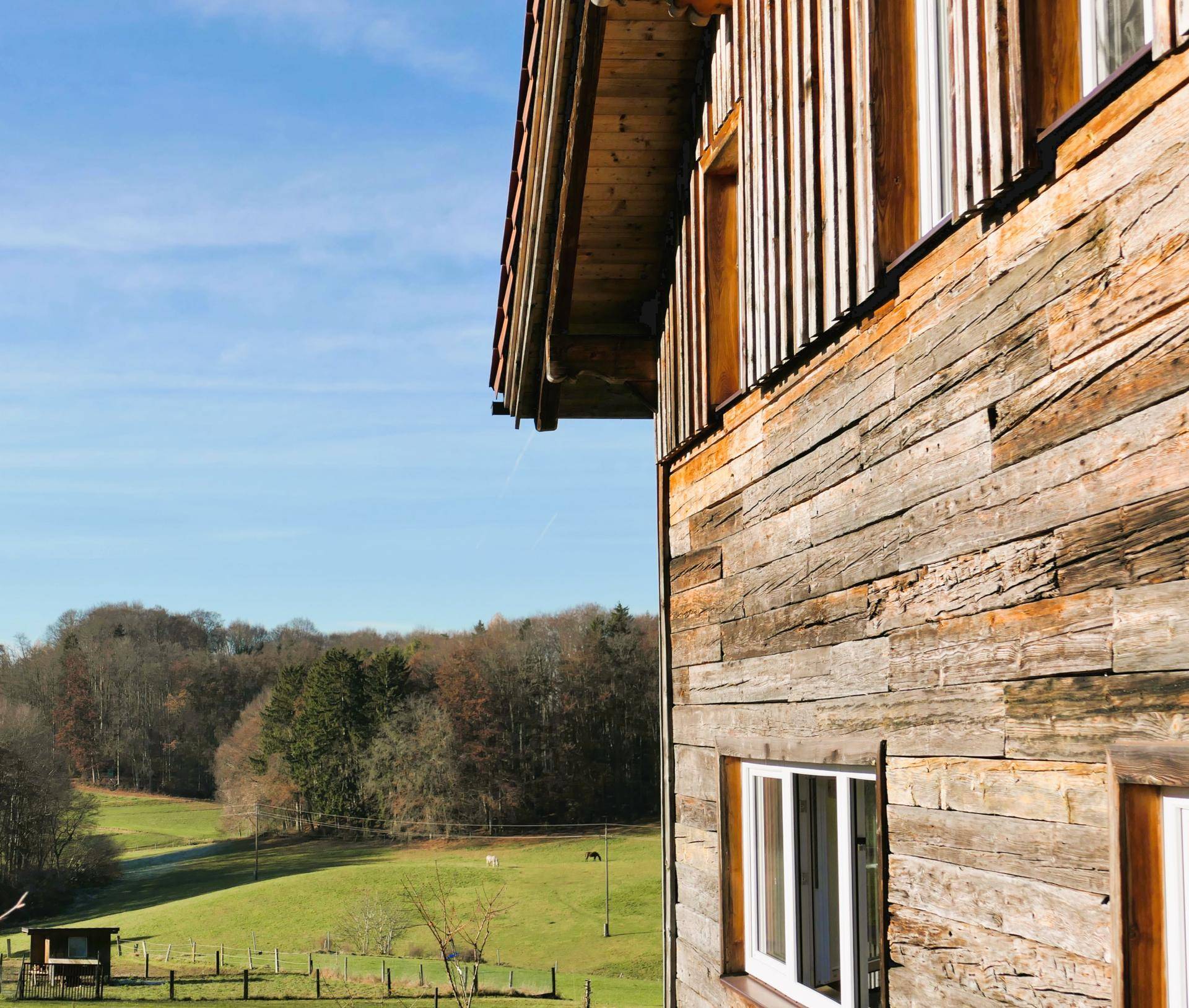 Seitenansicht des Holzhauses mit Blick auf die weite grüne Landschaft und den Wald im Hintergrund.