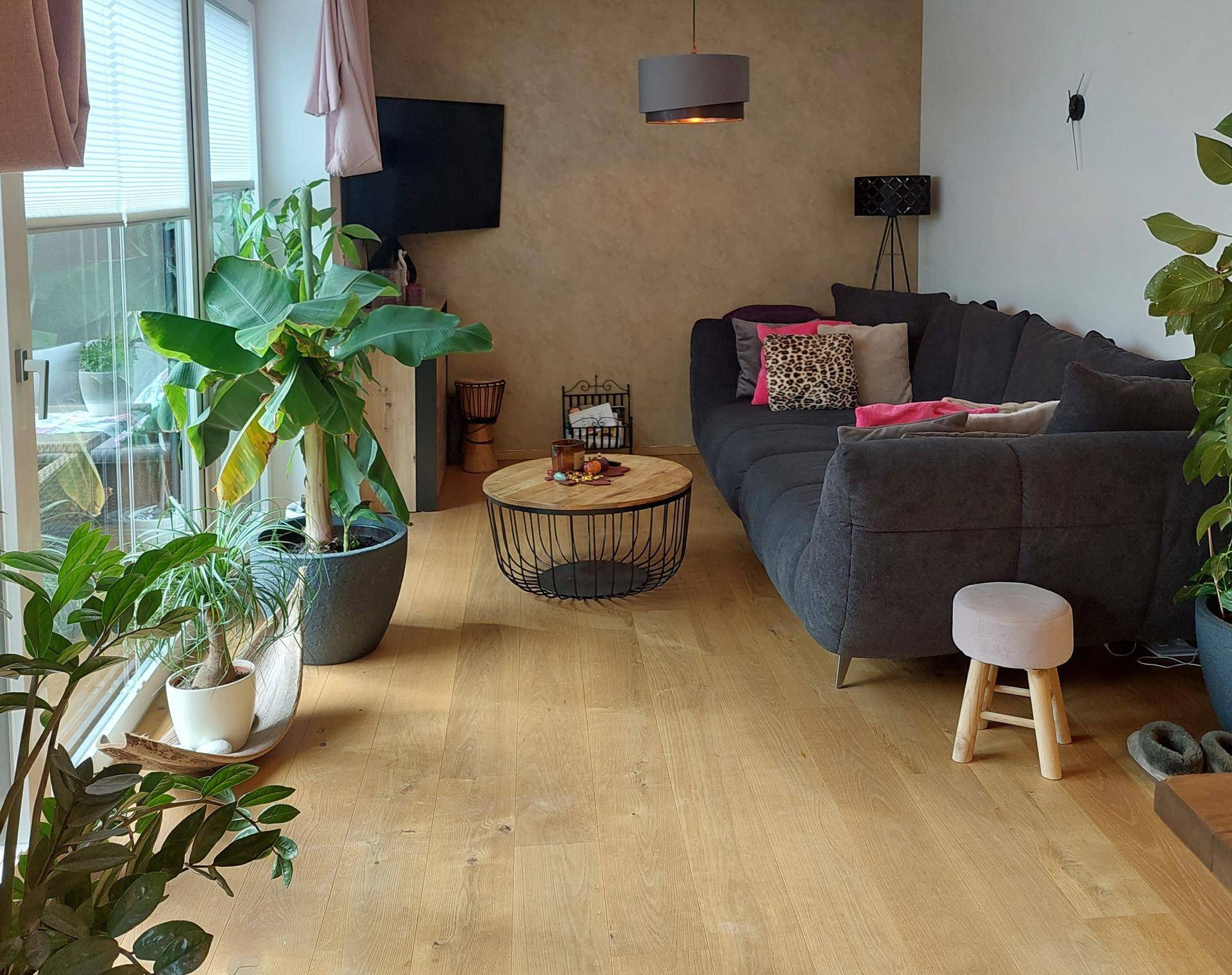 Gemütliches Wohnzimmer mit großem Sofa, Holzboden und vielen Pflanzen, hell durch große Fenster.