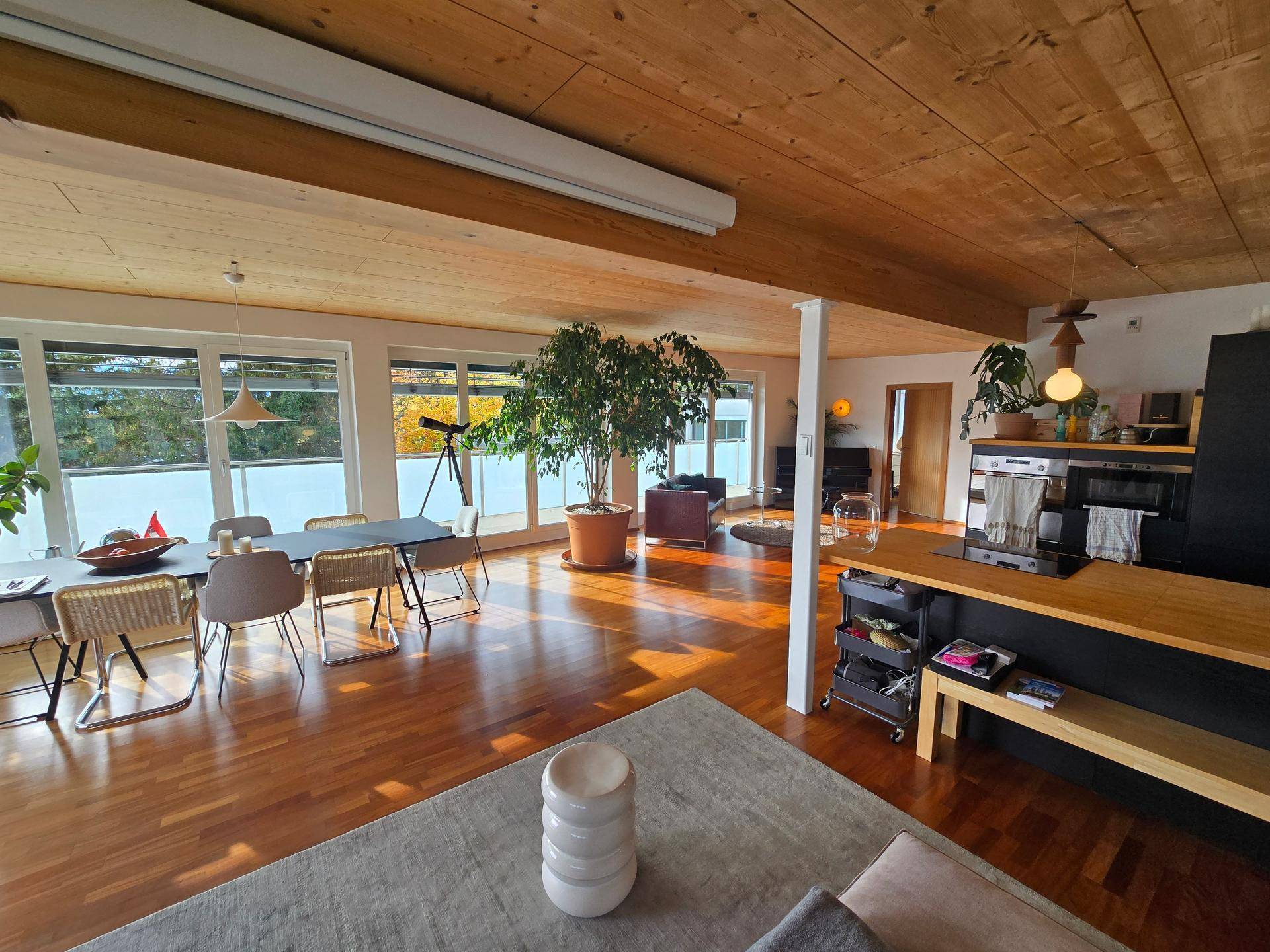 Geräumiger offener Wohn- und Essbereich mit Holzboden, Holzbalkendecke und Terrassenzugang.