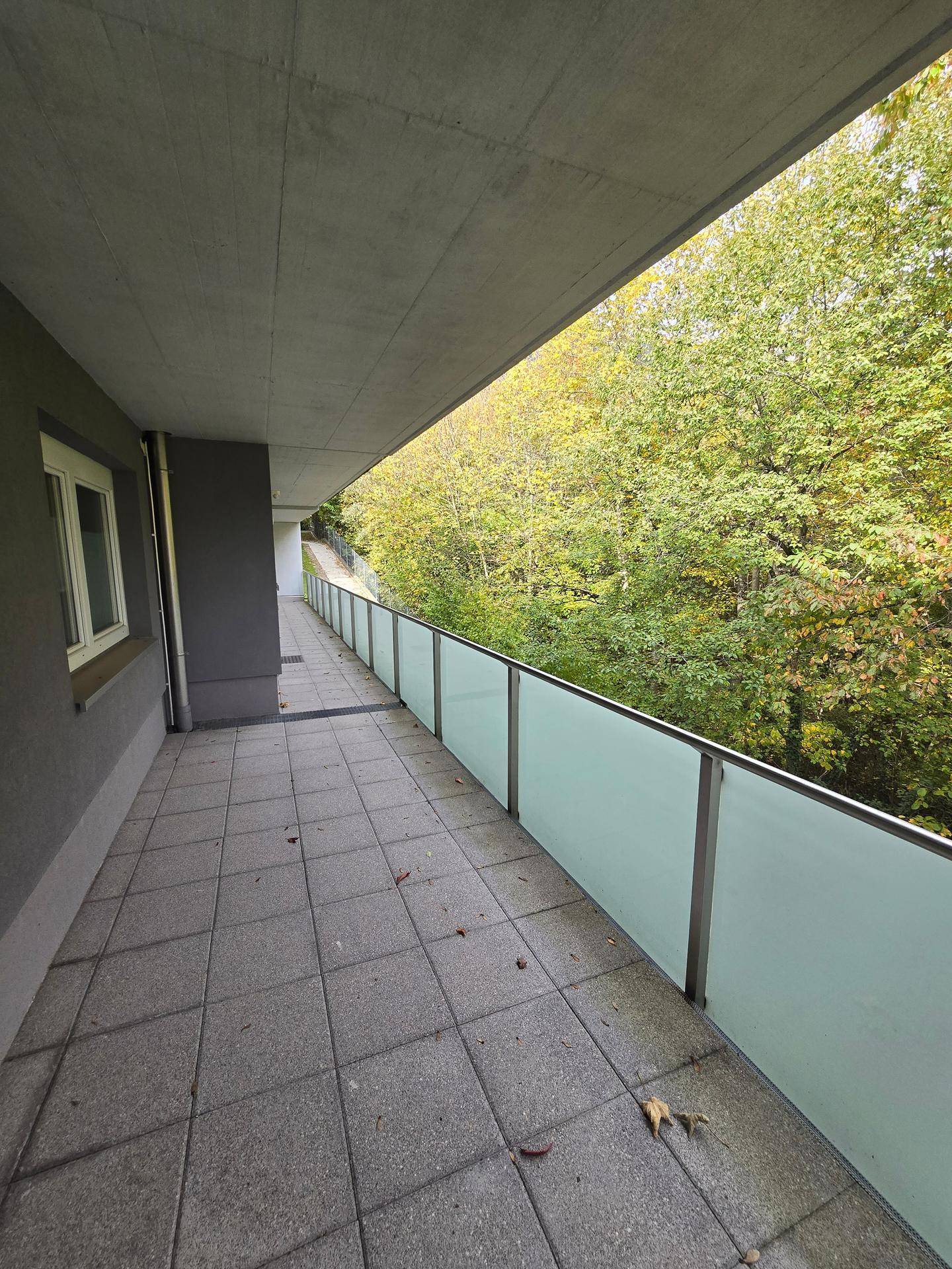 Langer, gefliester Balkon mit Glasgeländer und Blick auf die umliegenden Bäume.