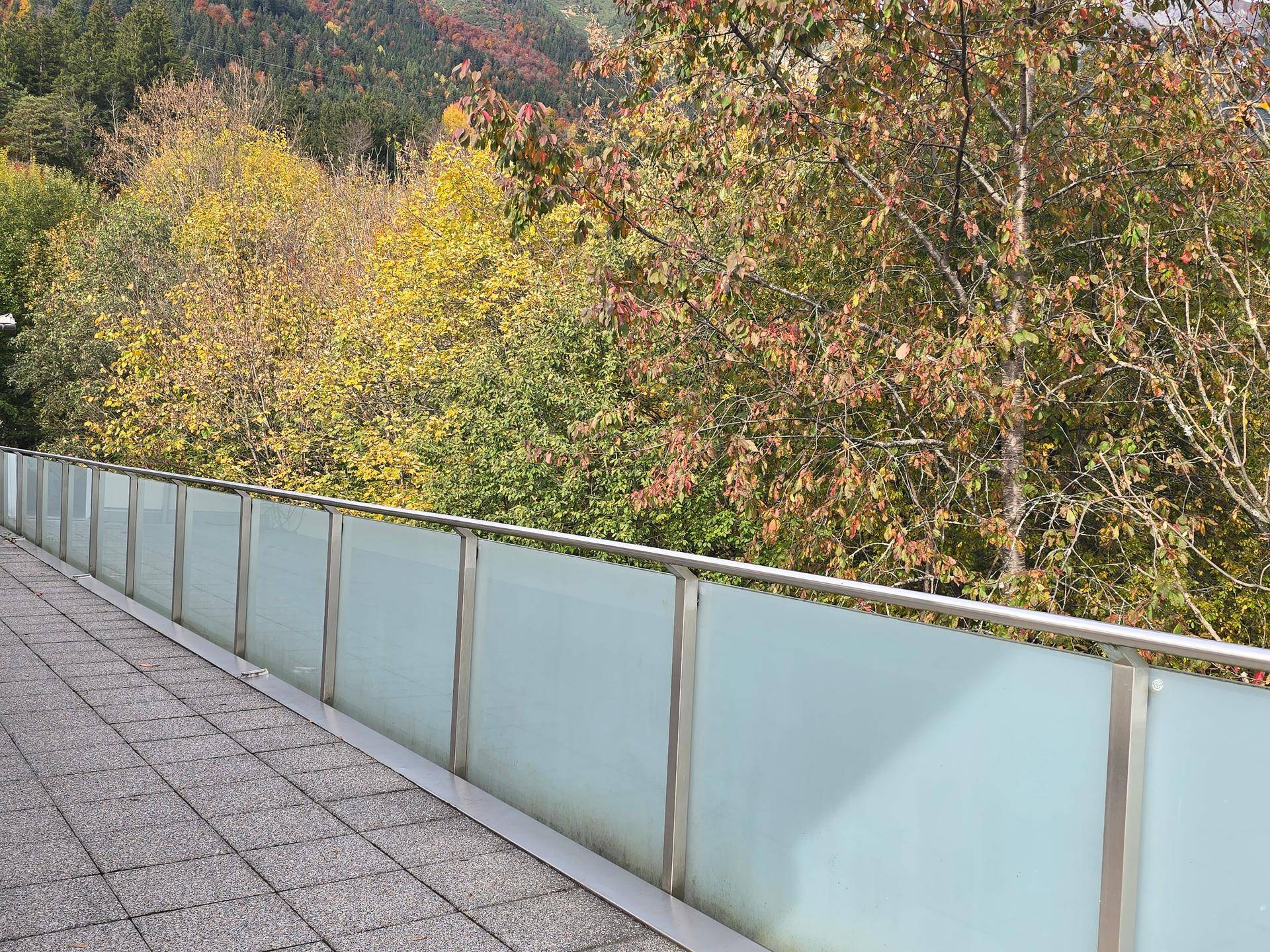 Balkon mit Glasgeländer und Blick auf die dichte, herbstliche Vegetation.
