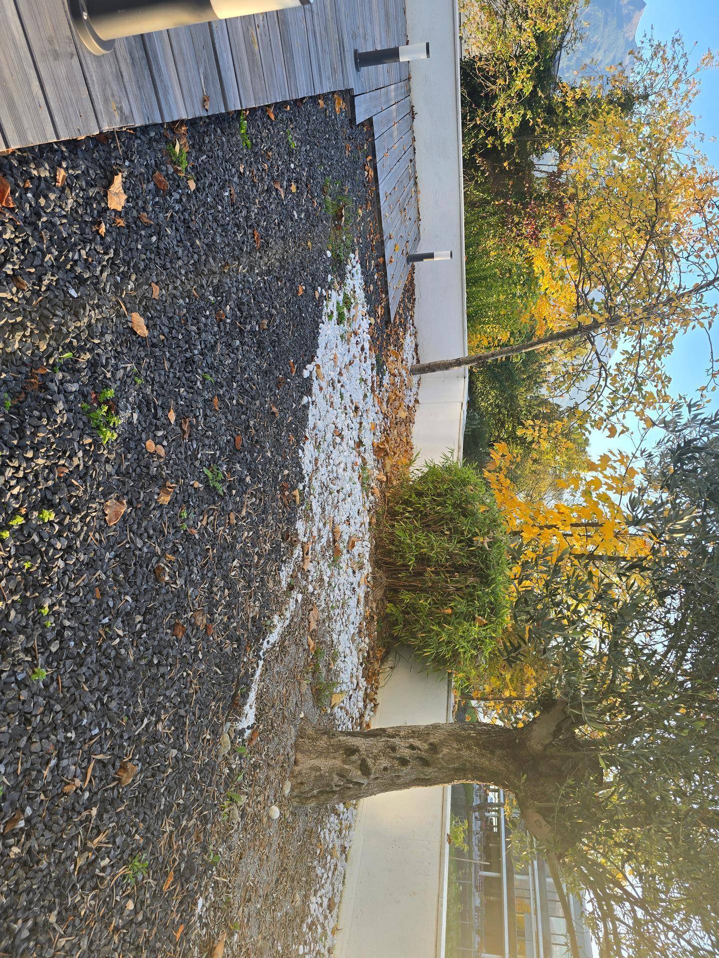 Gartenbereich mit Kies, herbstlichen Bäumen und Hecke, teilweise mit Schnee bedeckt.