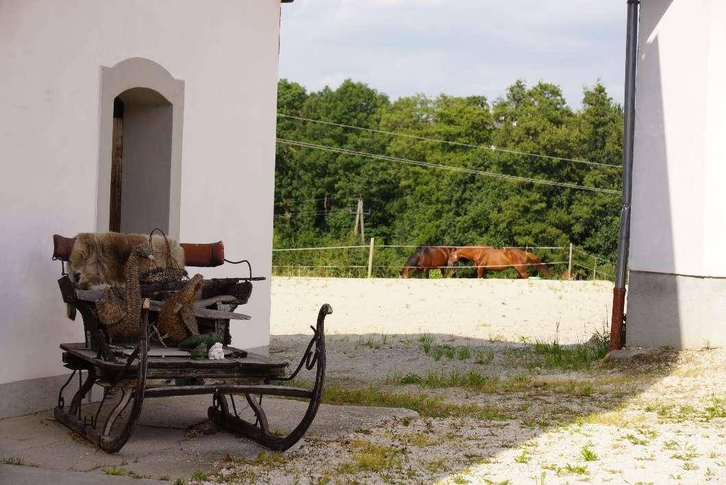 Ländliche Szene mit einem alten Pferdeschlitten und Pferden auf einer Weide im Hintergrund.