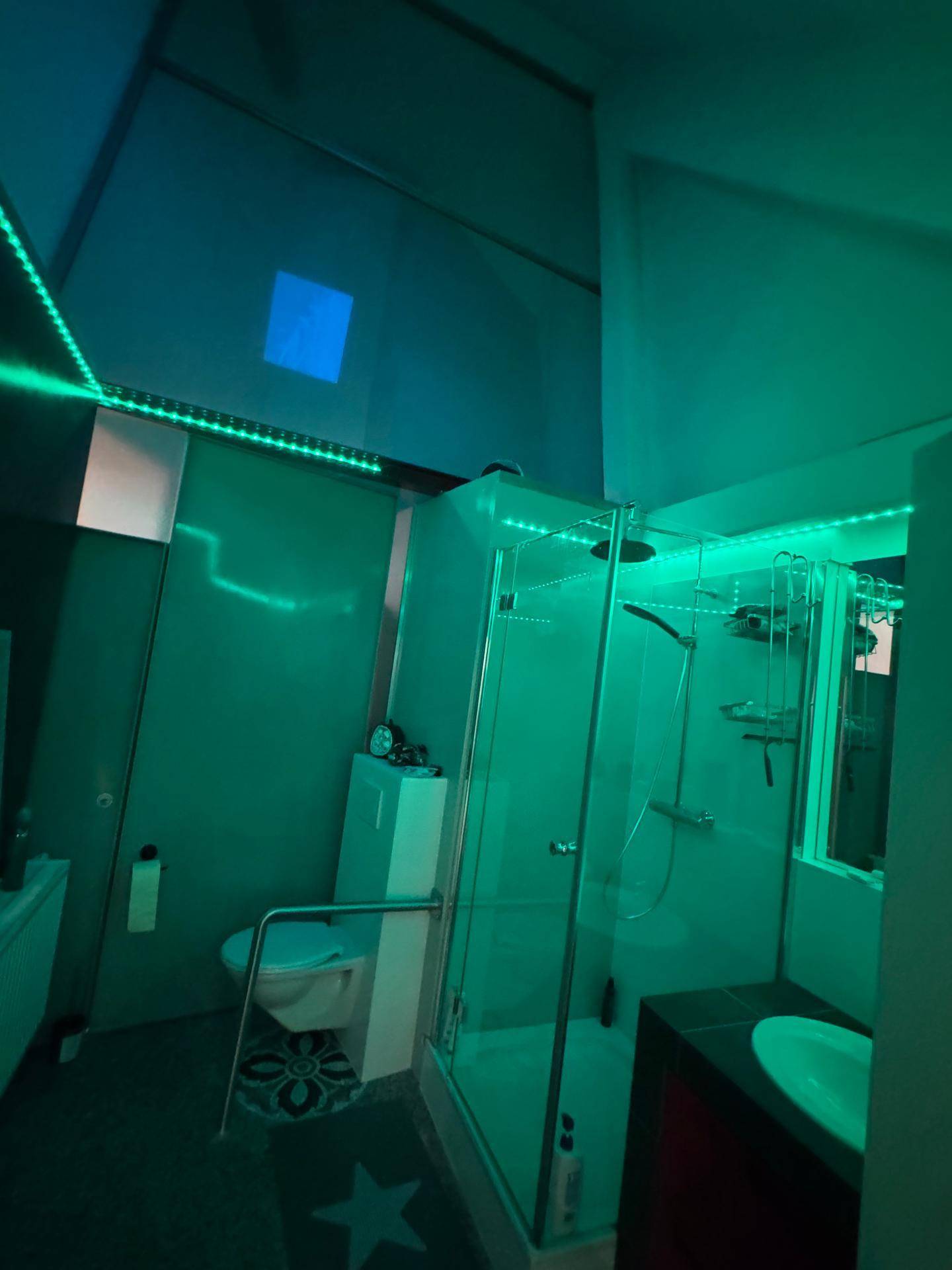 Modernes Badezimmer mit grüner LED-Beleuchtung, Dusche und WC.