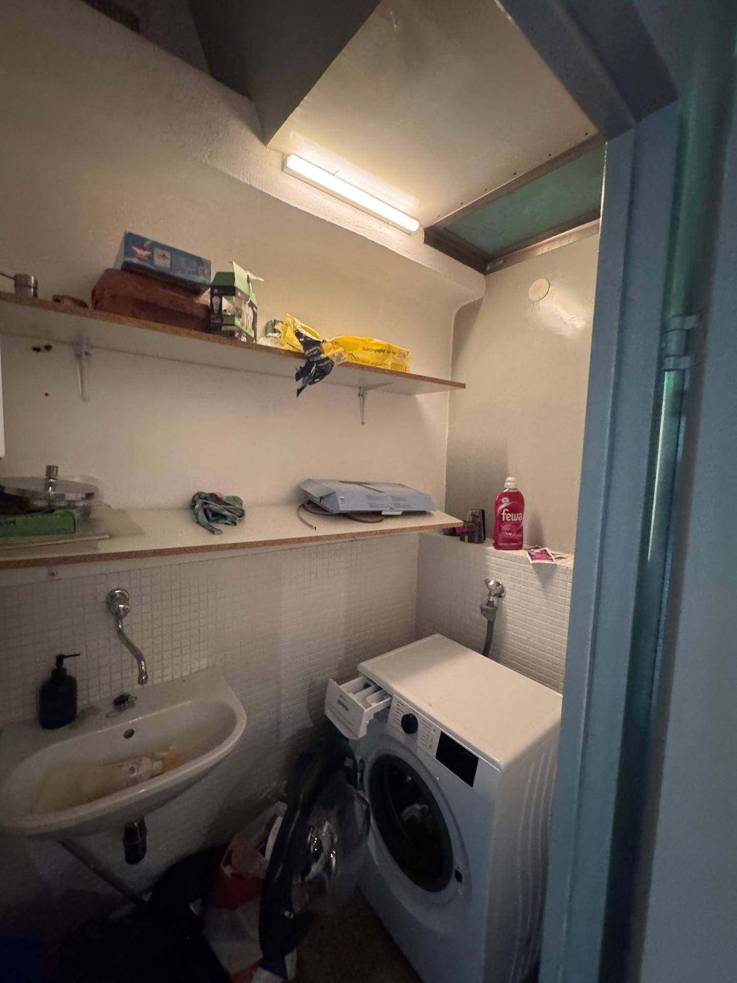 Hauswirtschaftsraum mit Waschmaschine, Waschbecken und Regalen für Stauraum.