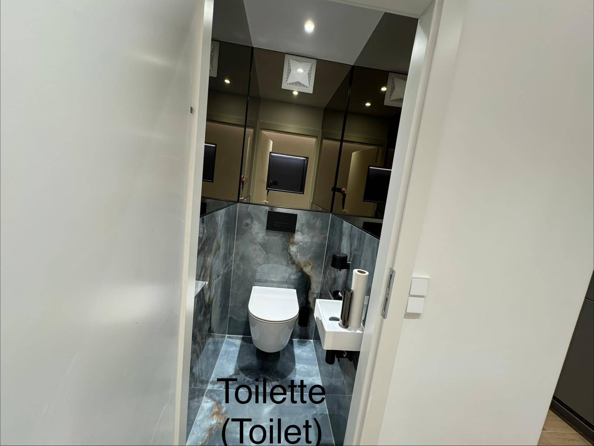 Modernes Gäste-WC mit dunklen Fliesen, Wand-WC und Spiegelwand.