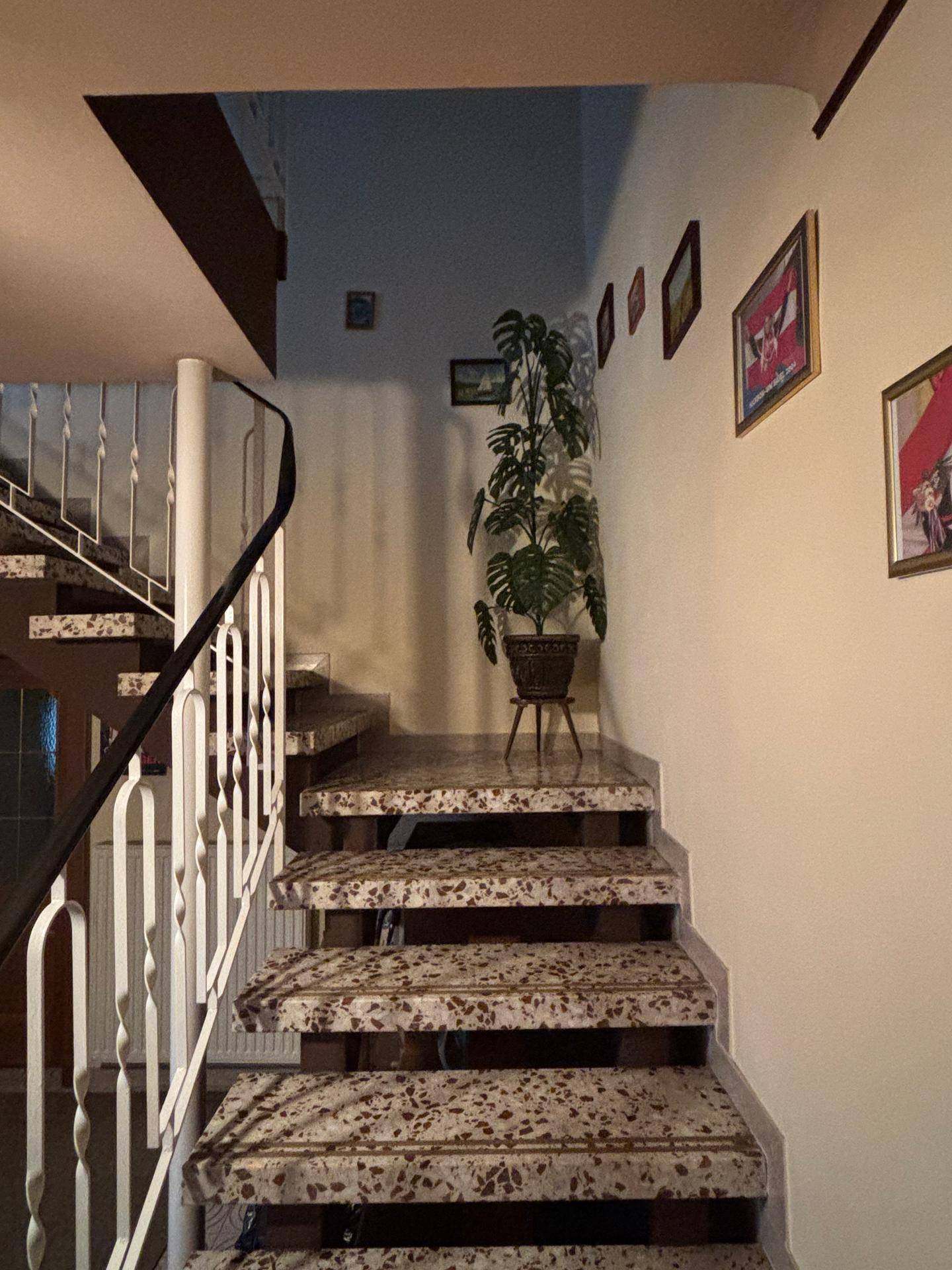 Treppenaufgang mit gemusterten Stufen, weißem Geländer und einer Pflanze als Dekoration.