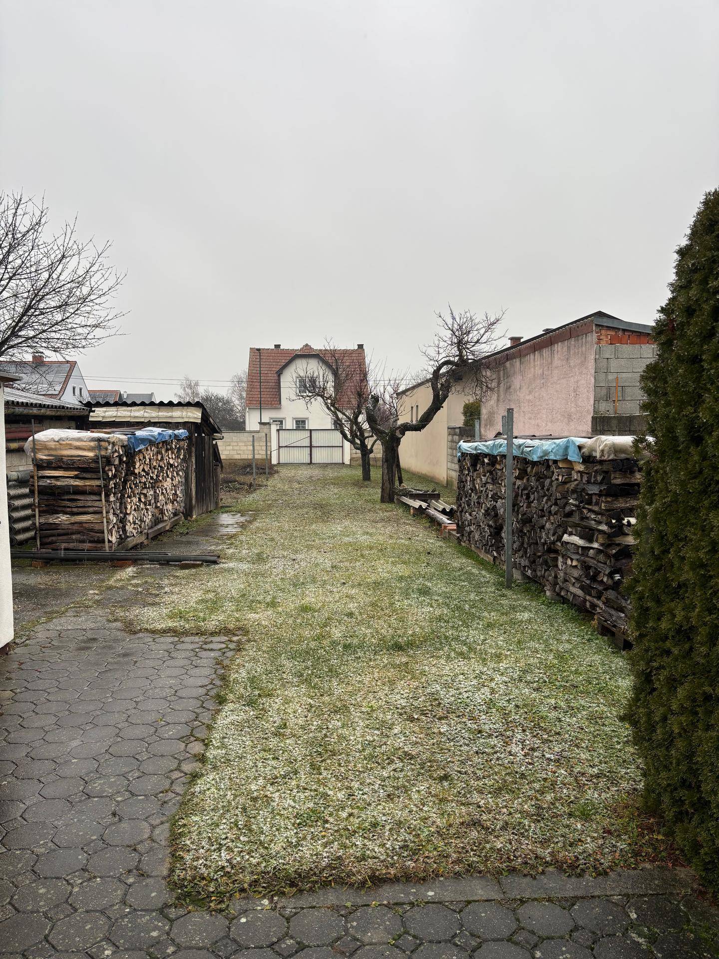 Großer Gartenbereich mit gestapeltem Brennholz, alten Bäumen und einem Haus im Hintergrund.