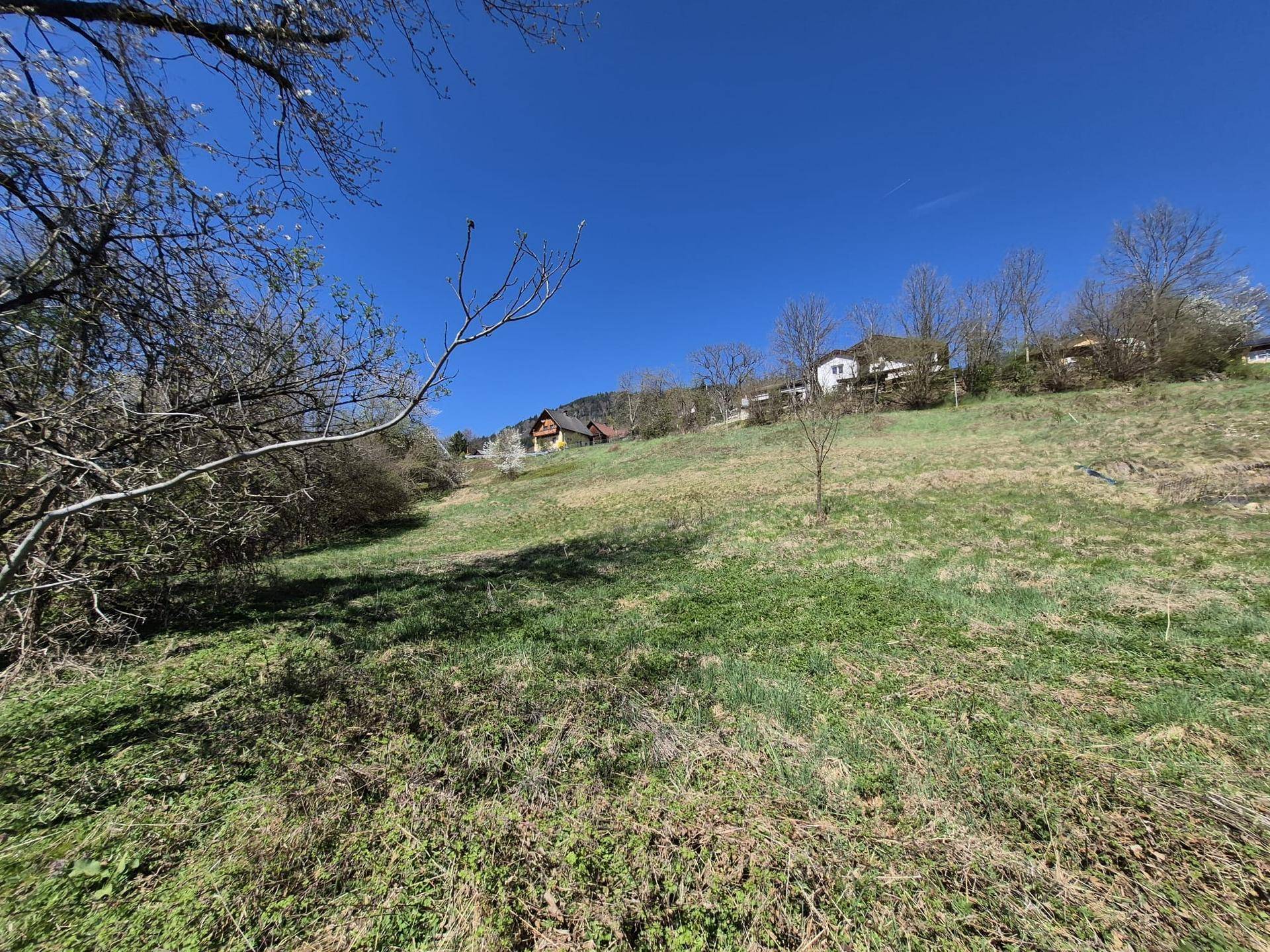 Sonnige, grüne Hanglage mit vereinzelten Bäumen und Häusern in der Ferne unter blauem Himmel.
