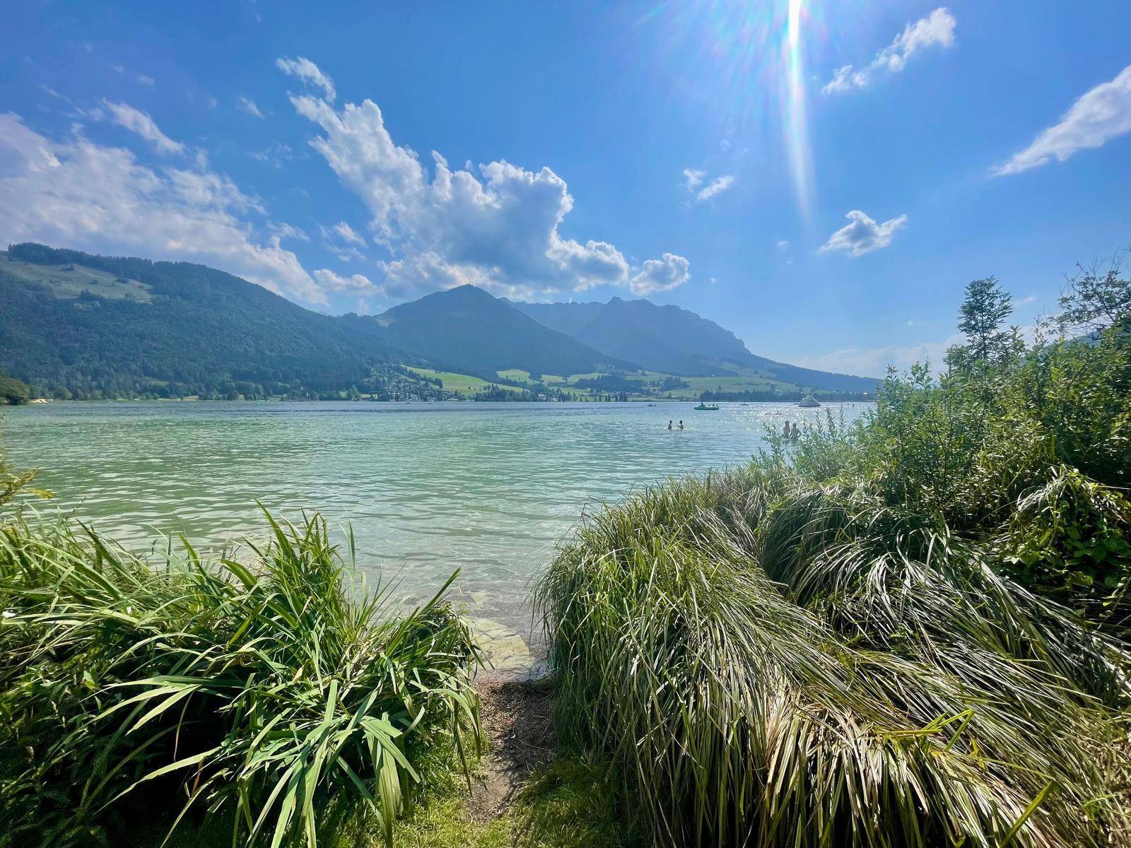 Uferbereich eines Sees mit Schilf und Blick auf die umliegenden Berge und das Wasser.