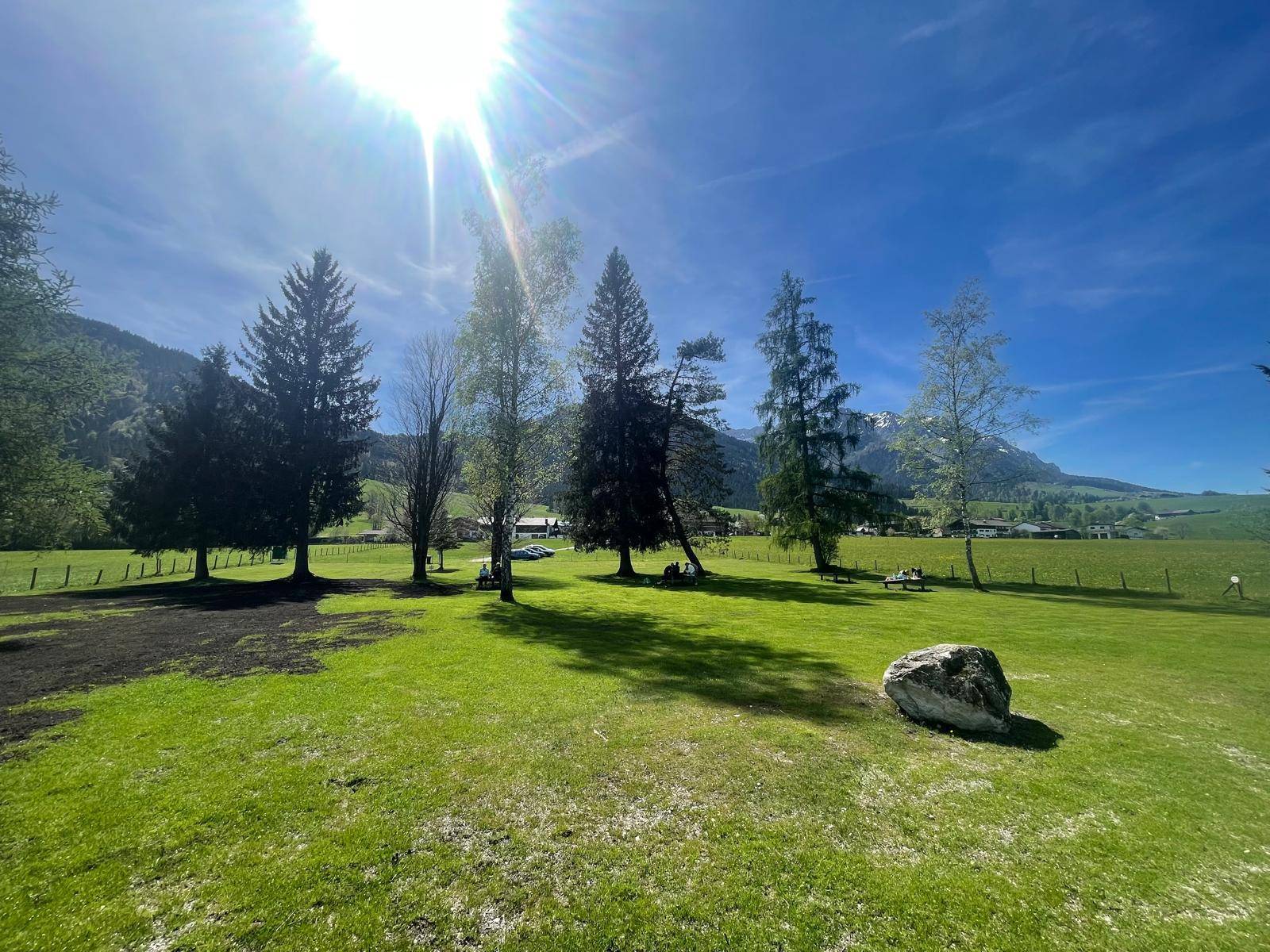 Weitläufige grüne Wiesen mit Bäumen und Bergen im Hintergrund unter strahlendem Sonnenschein.