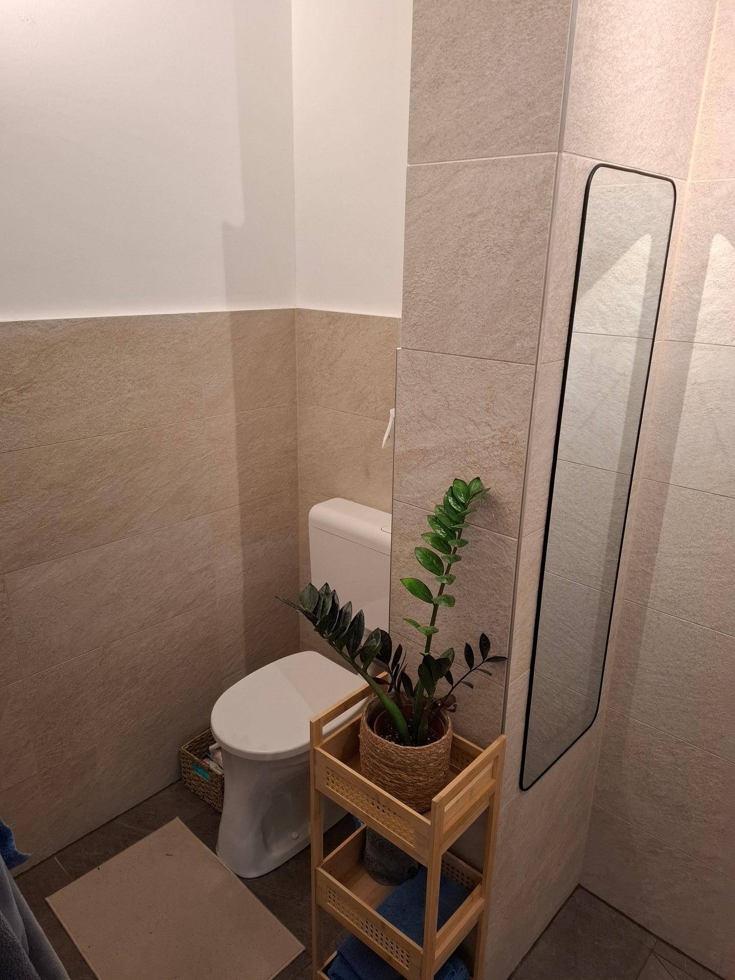 Badezimmerbereich mit Toilette, beigefarbenen Fliesen und dekorativer Pflanze.