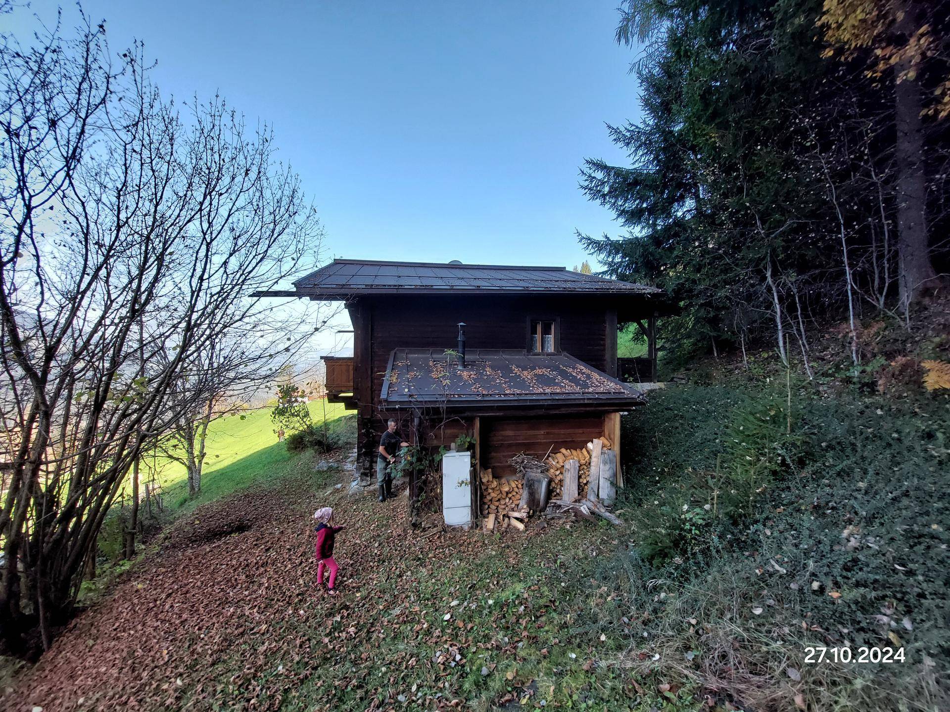 Rückansicht des Holzchalets mit Holzstapel und umgebender Natur.