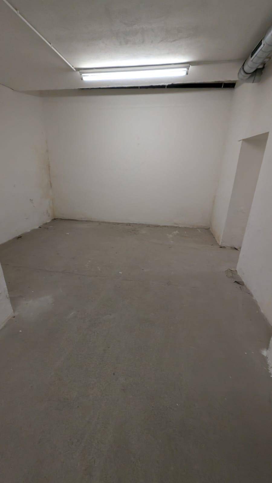 Heller, leerer Kellerraum mit Betonboden und einfacher Deckenbeleuchtung, vielseitig nutzbar.