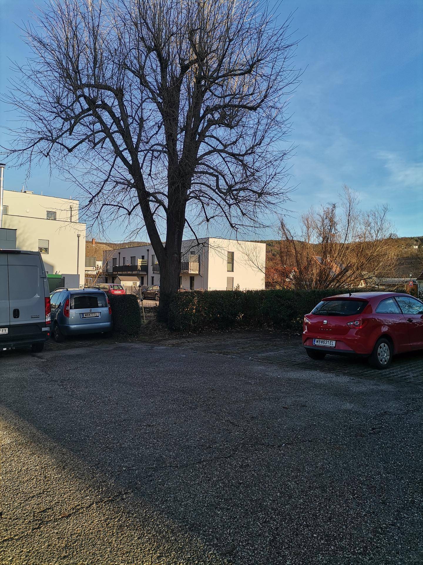 Außenparkplatz mit mehreren Autos und einem großen Baum im Hintergrund.