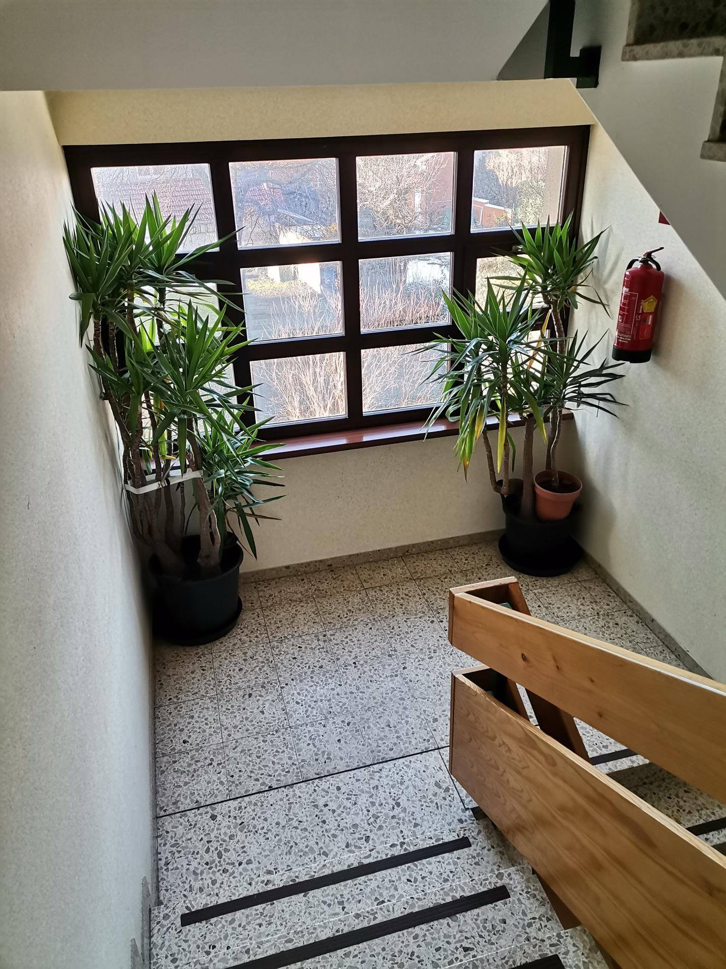Helles Treppenhaus mit Terrazzoboden, großem Fenster und dekorativen Pflanzen.